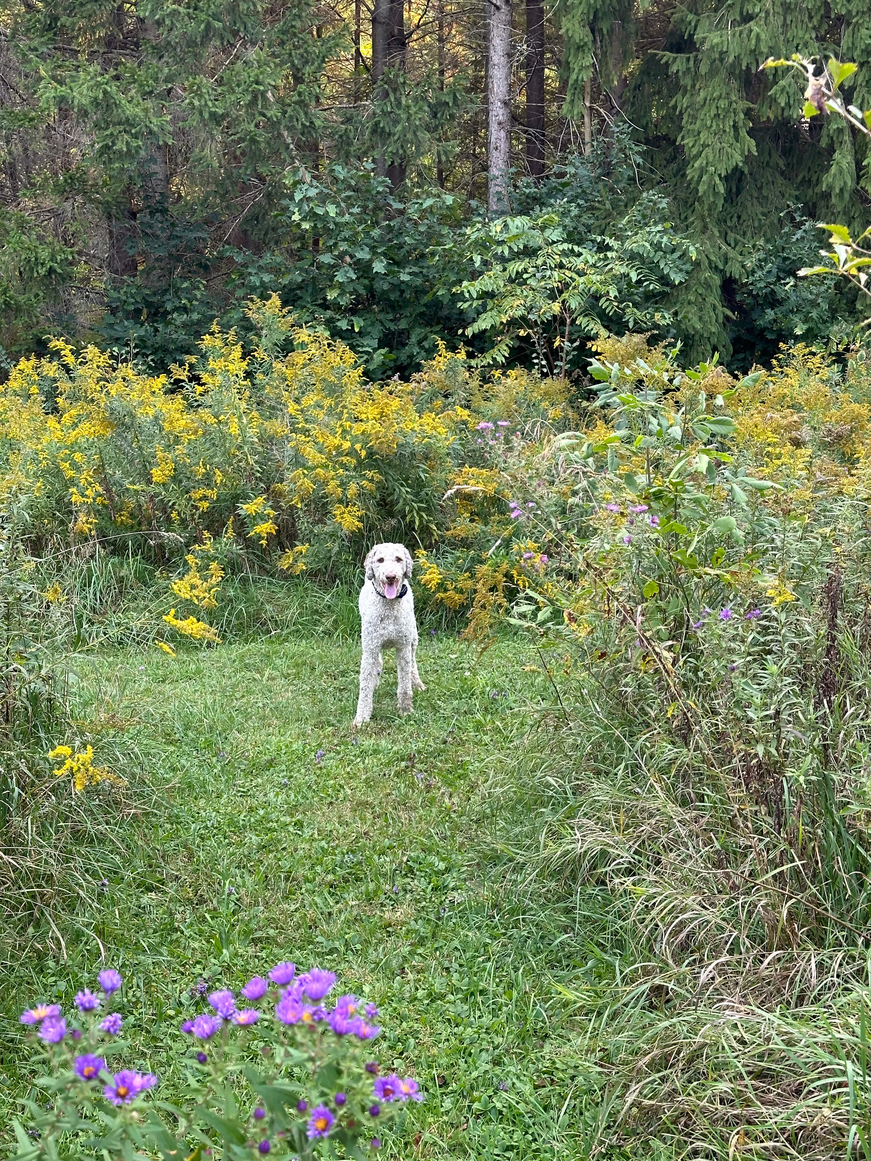 Braemar Valley Nature Sanctuary