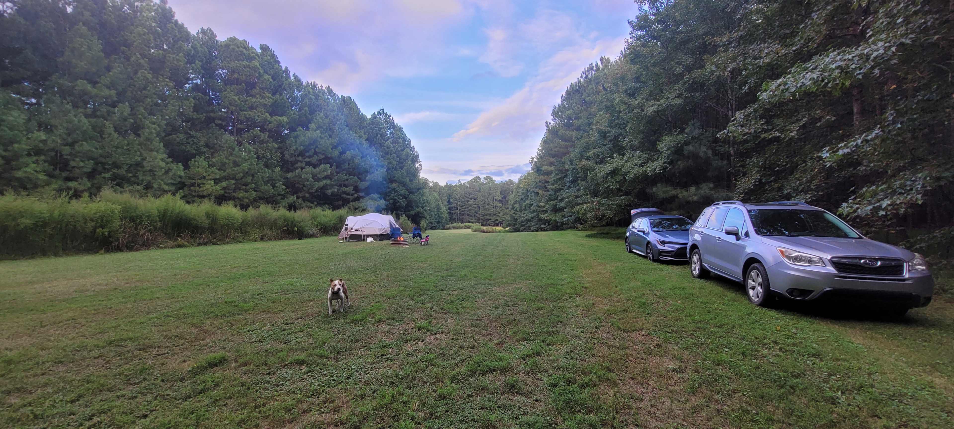 Rural Chapel Hill Forestry Stay