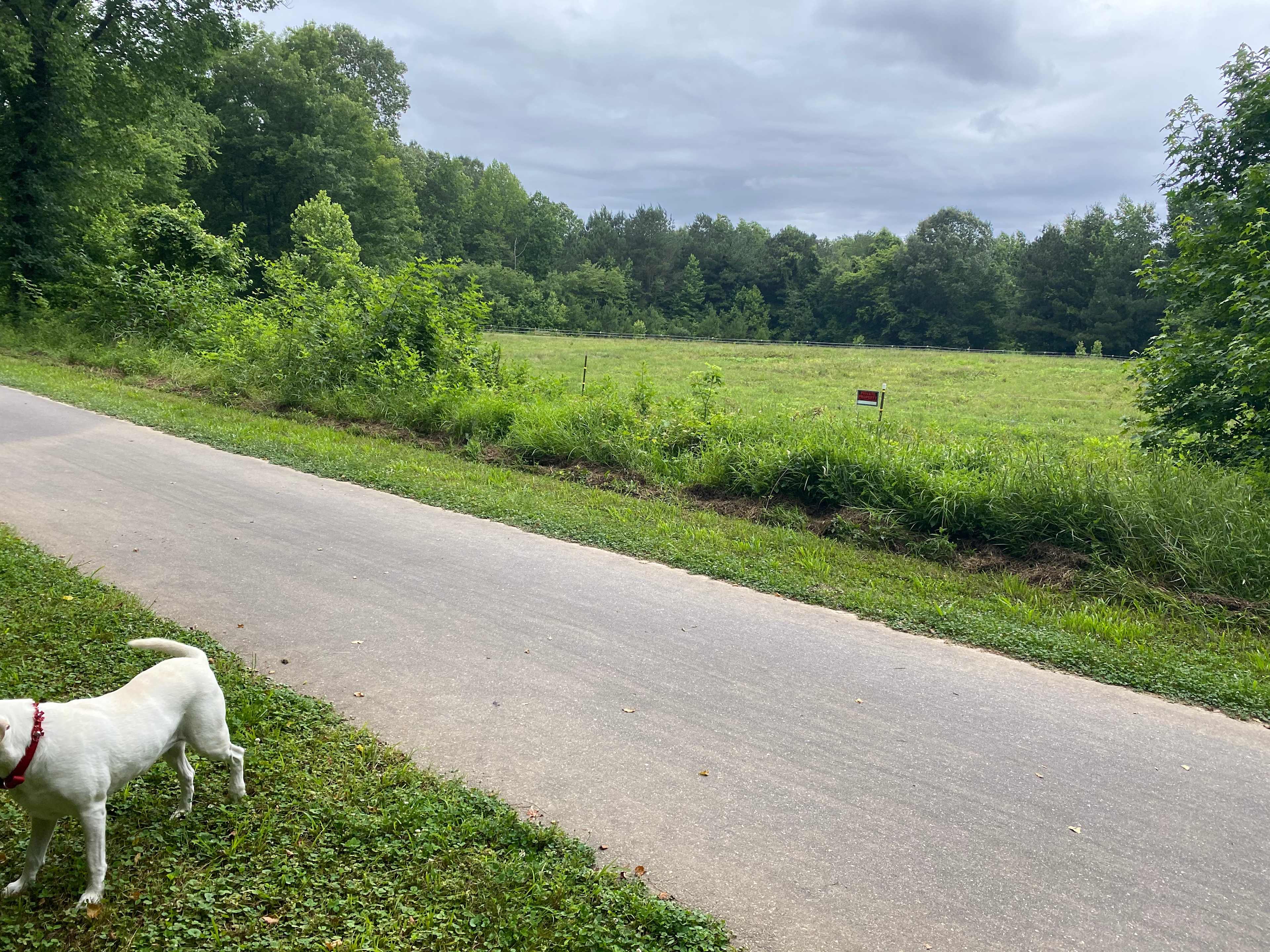 River Farm on the Neuse River Trail