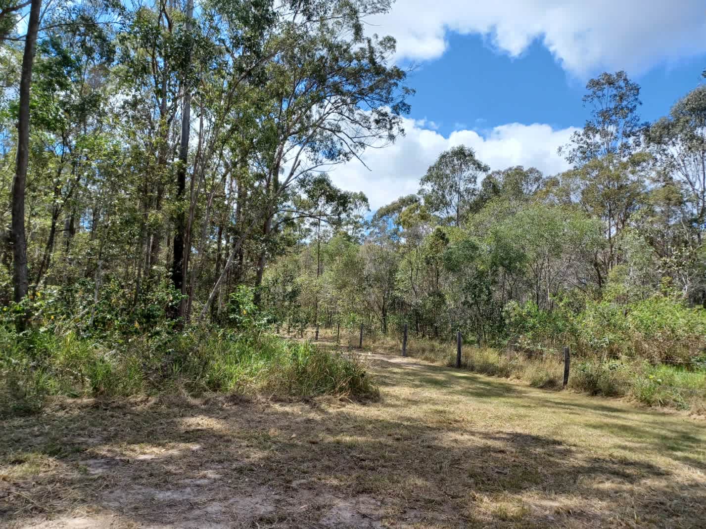 Arthur Creek Farm