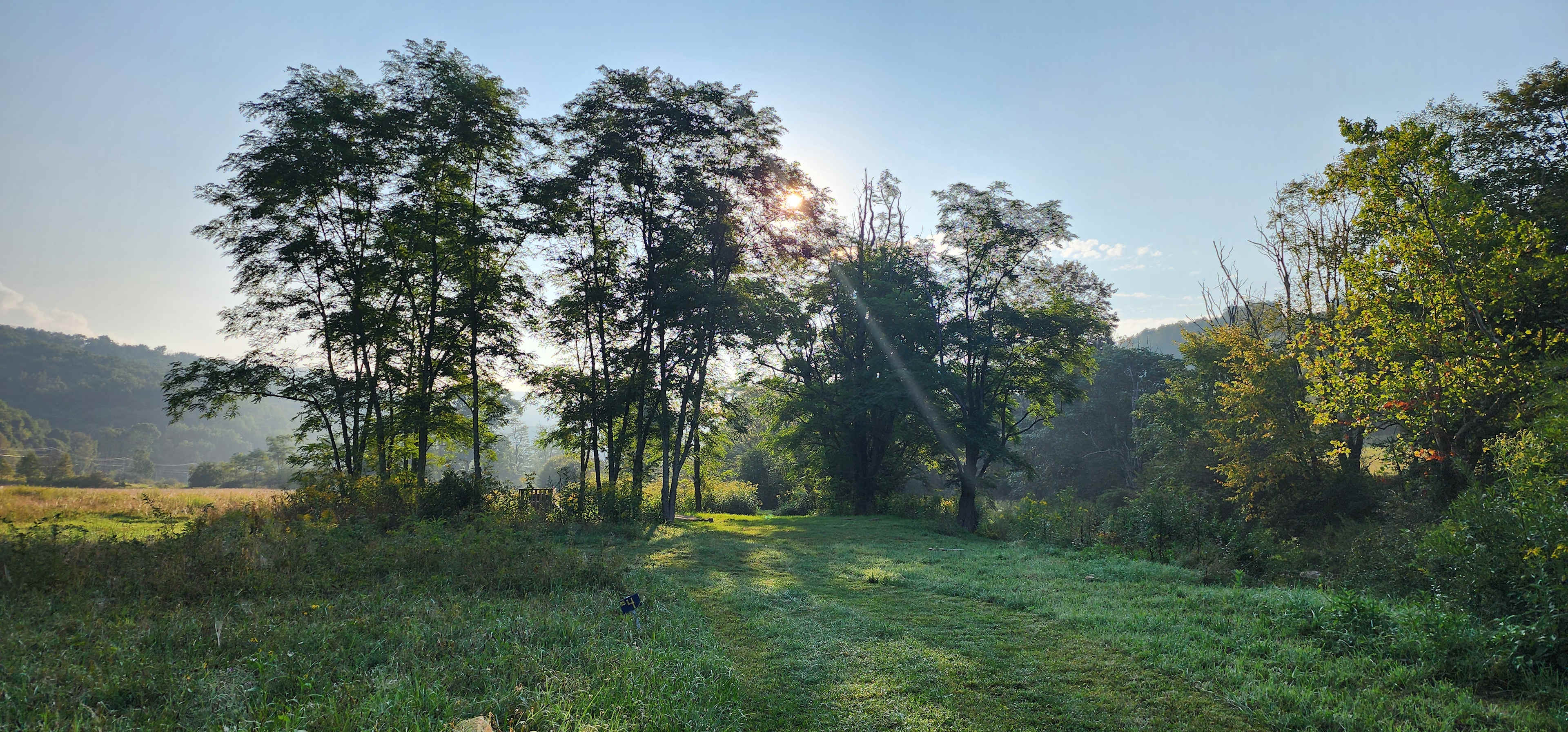 Picture of the site