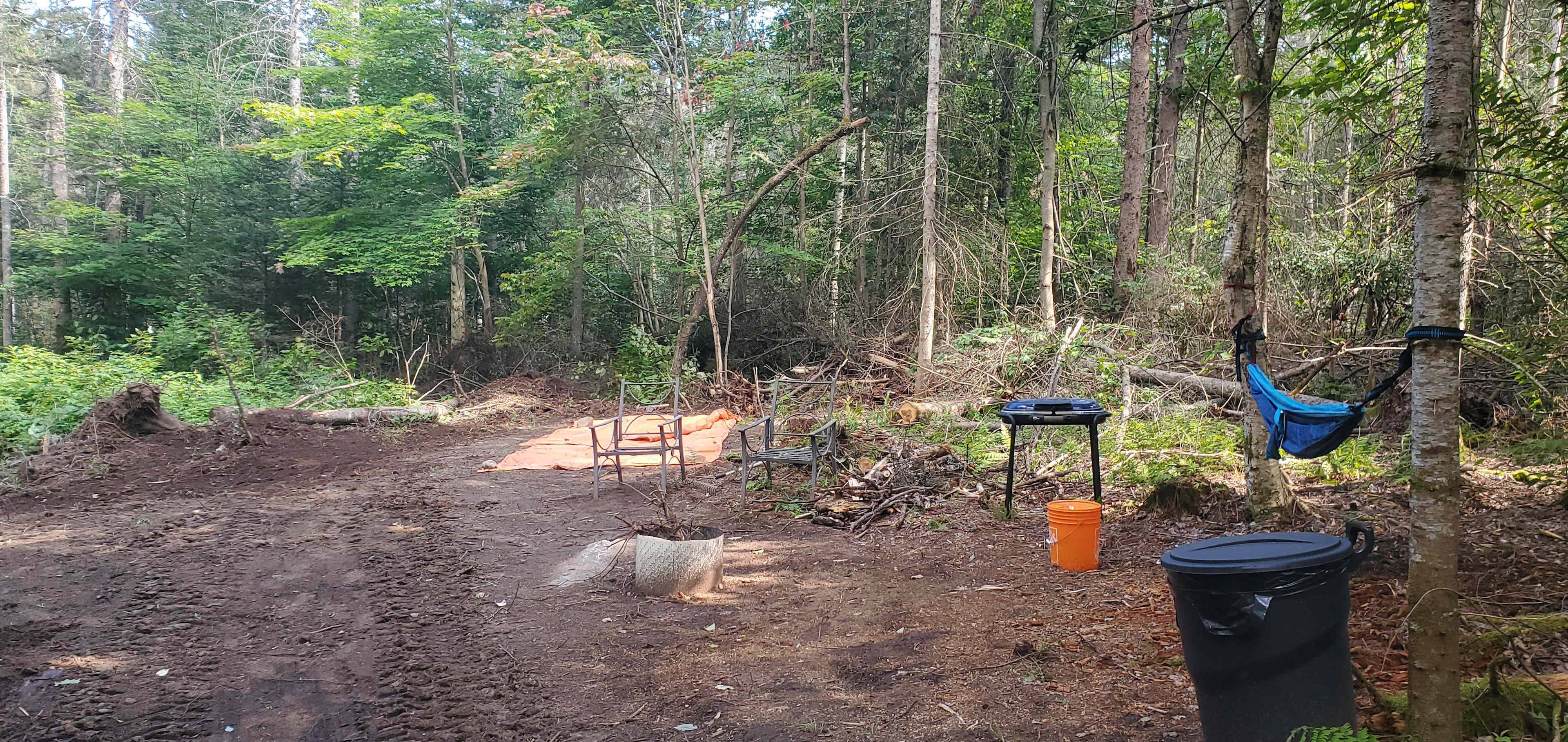 Picture of the site