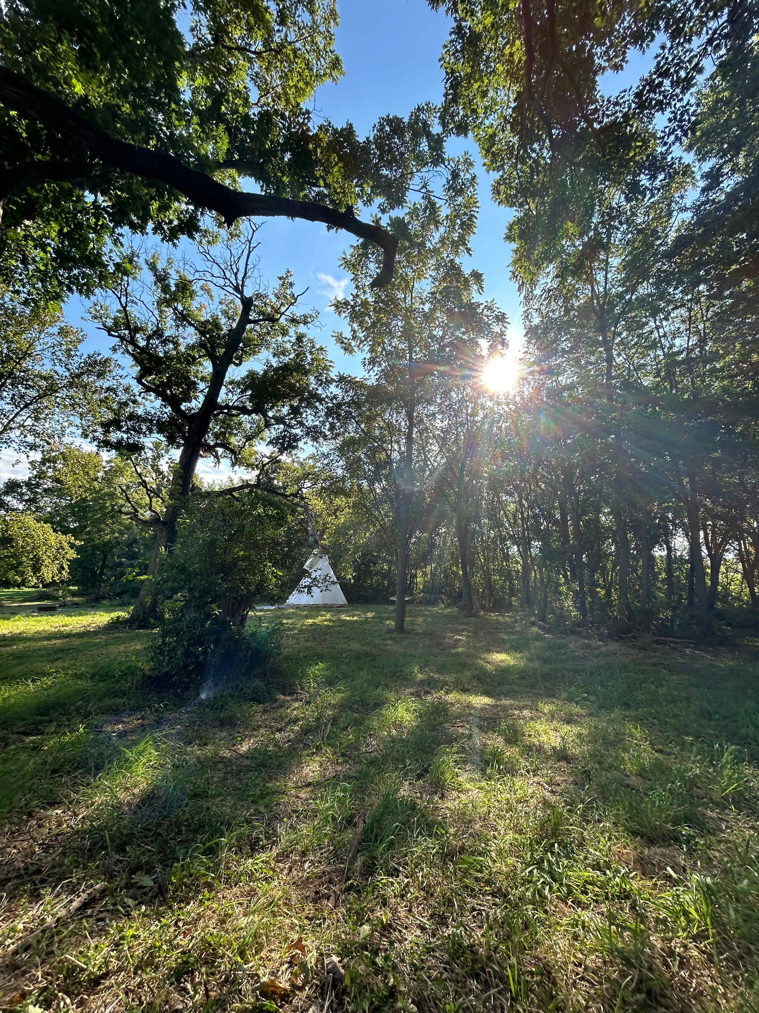 Bear Bottom Ranch