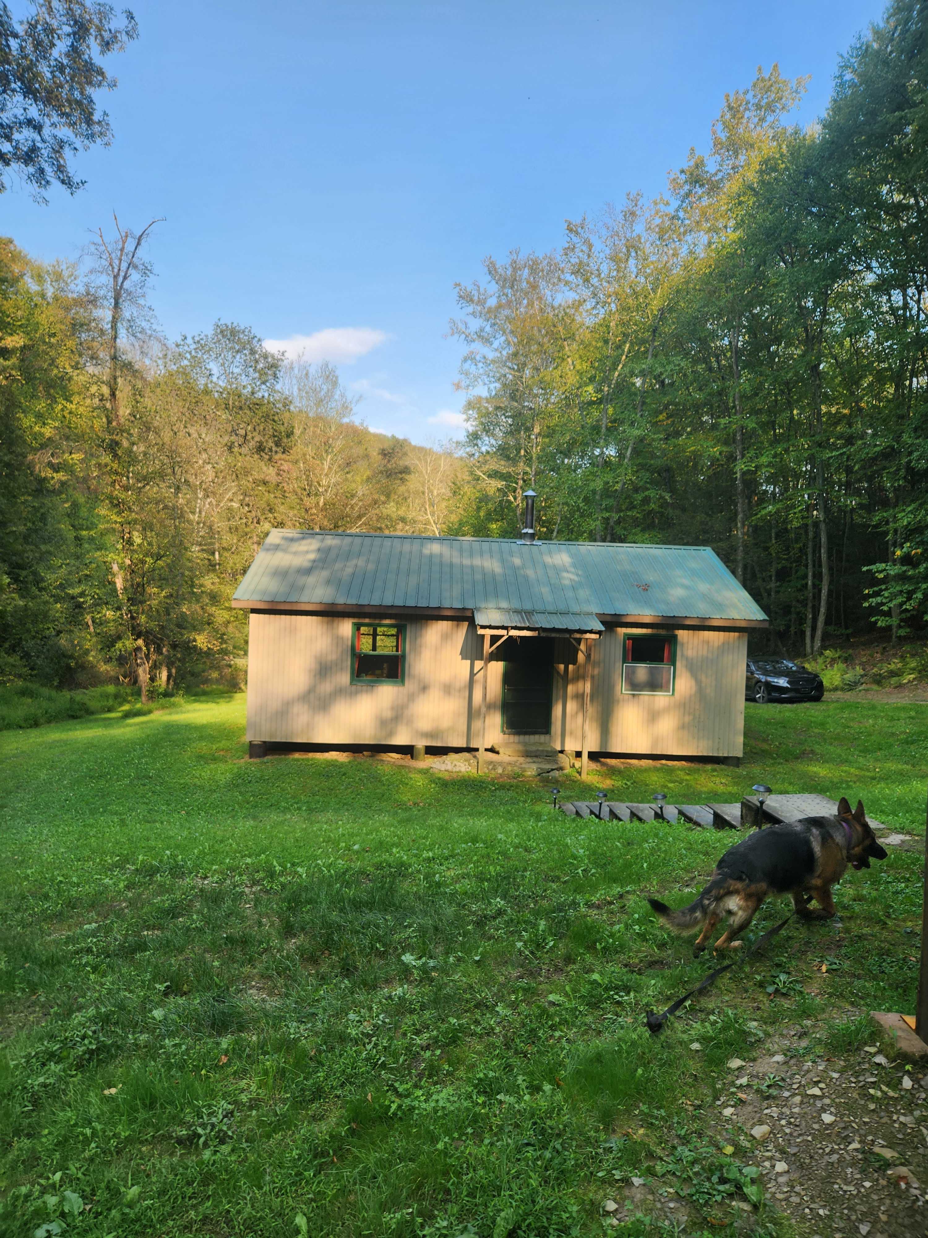Secluded BLT Cabin