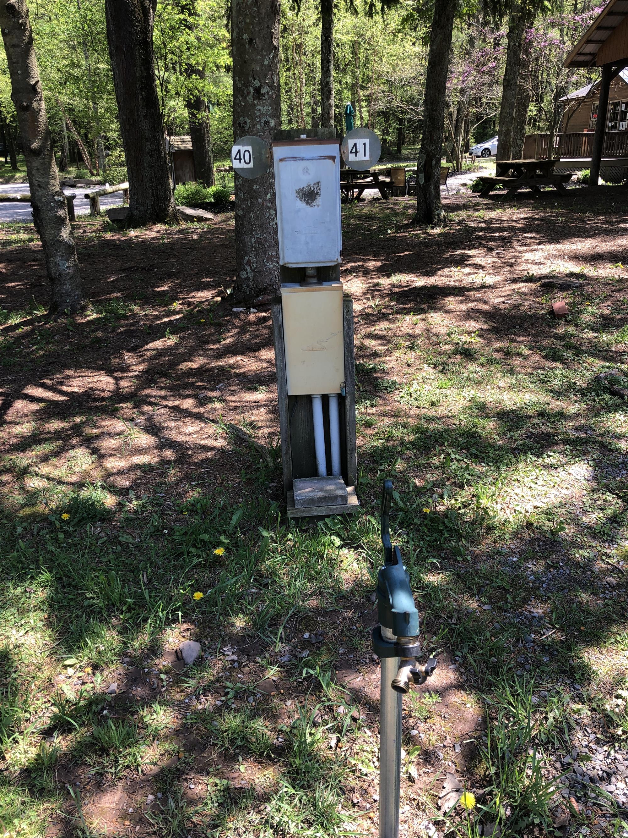 Picture of the site