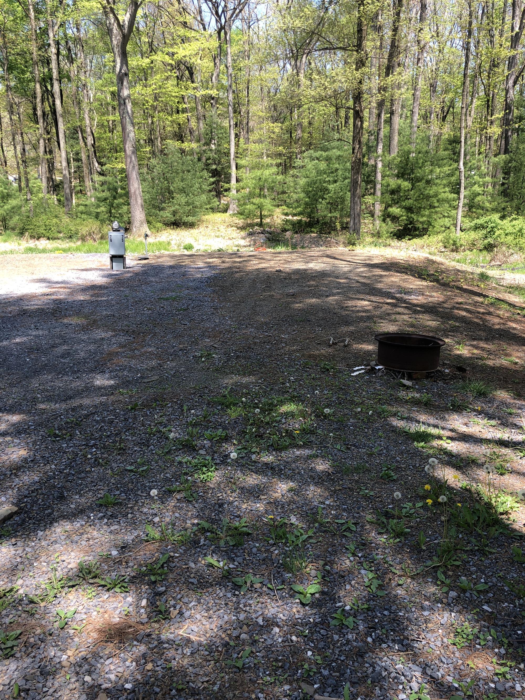 Picture of the site