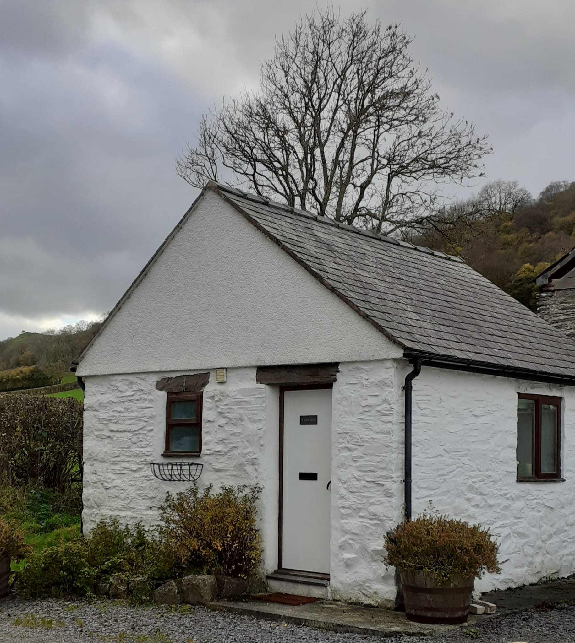 Y Llew Bach Cottage