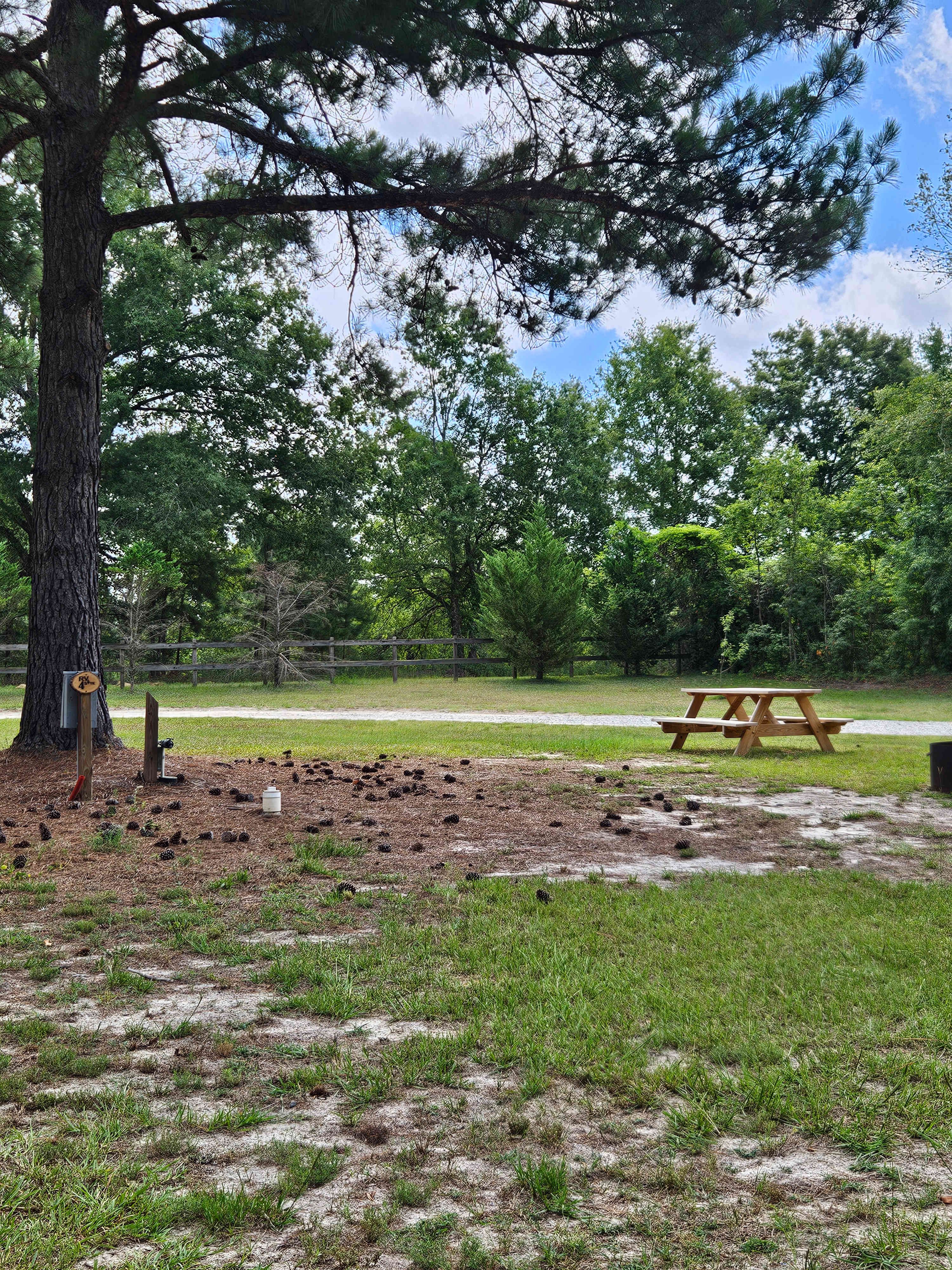 Leaning Pines Campground and Cabins