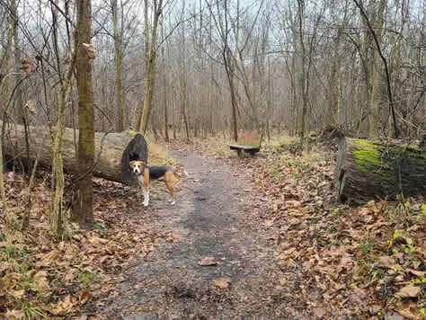 Lake Perry Campground