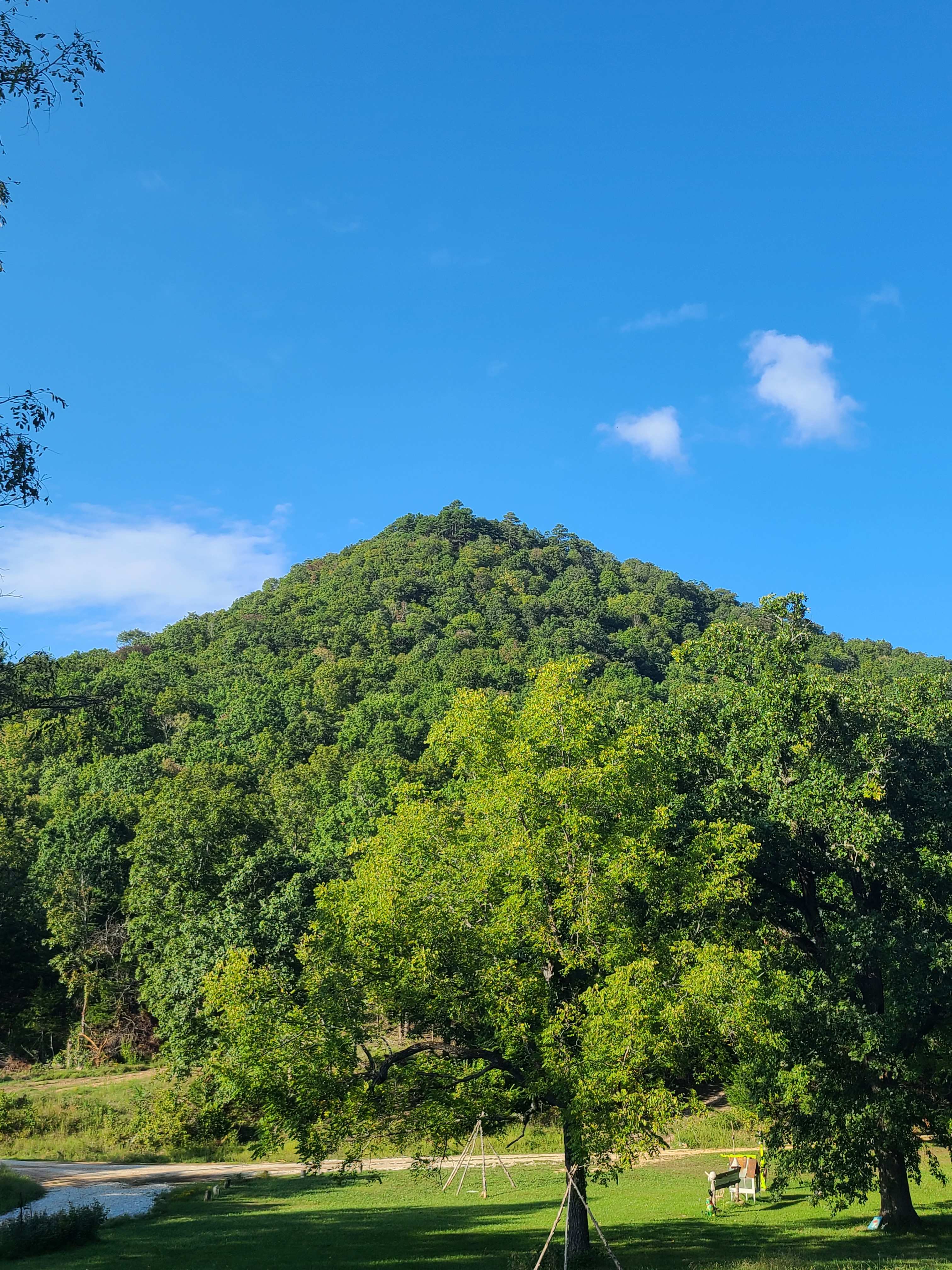 Enchanted Ozark Fairytale Camp