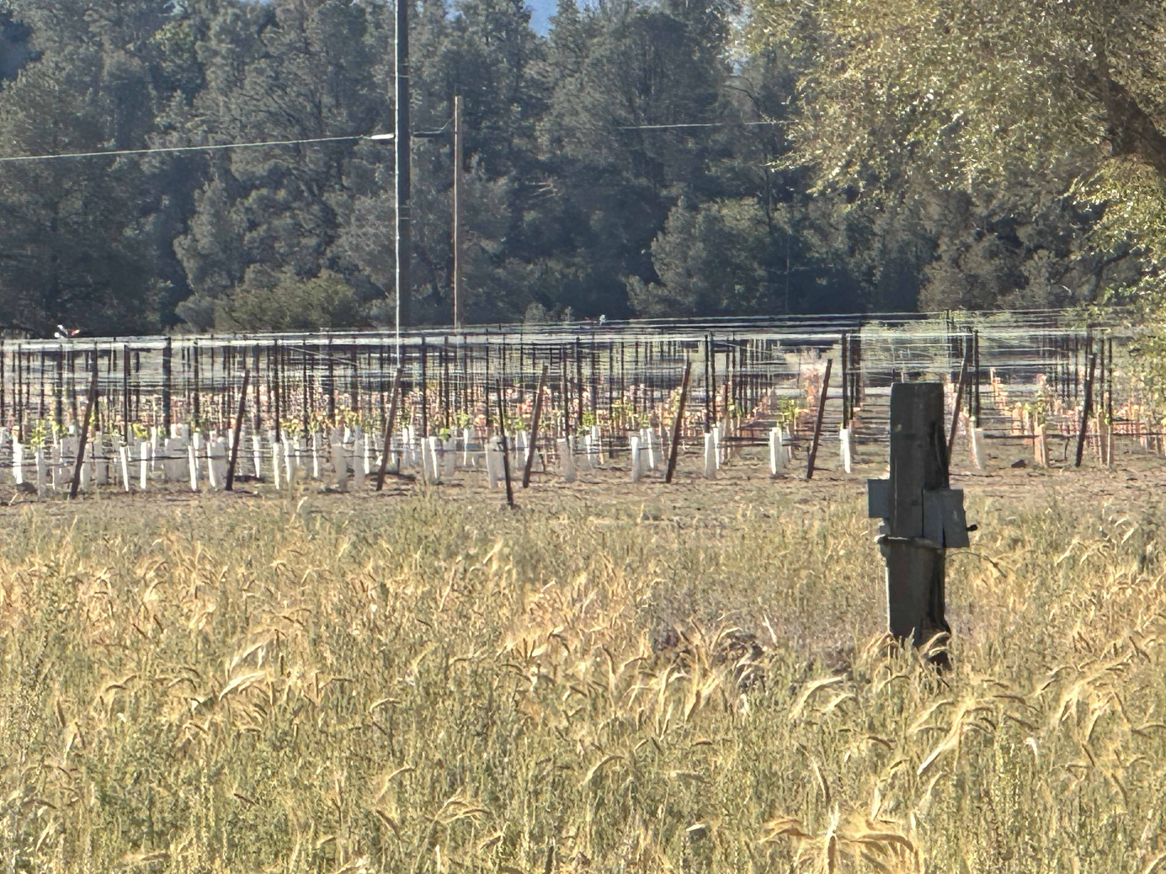 North Fork Ranch (Horses Welcome)