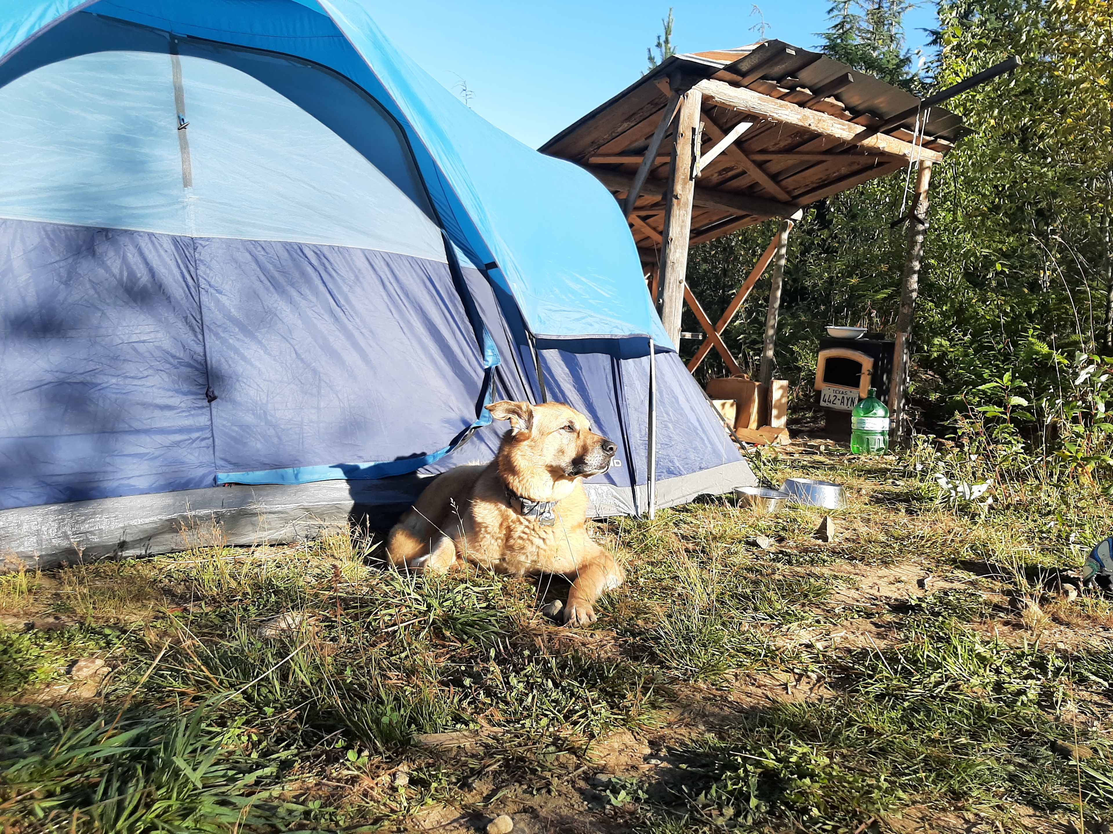 Perfect Puppy Ranch