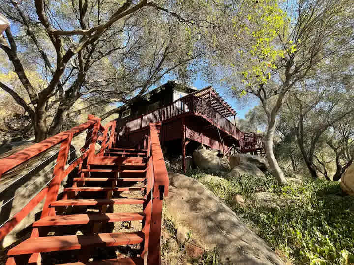 Tiny House / Harry Potter Treehouse