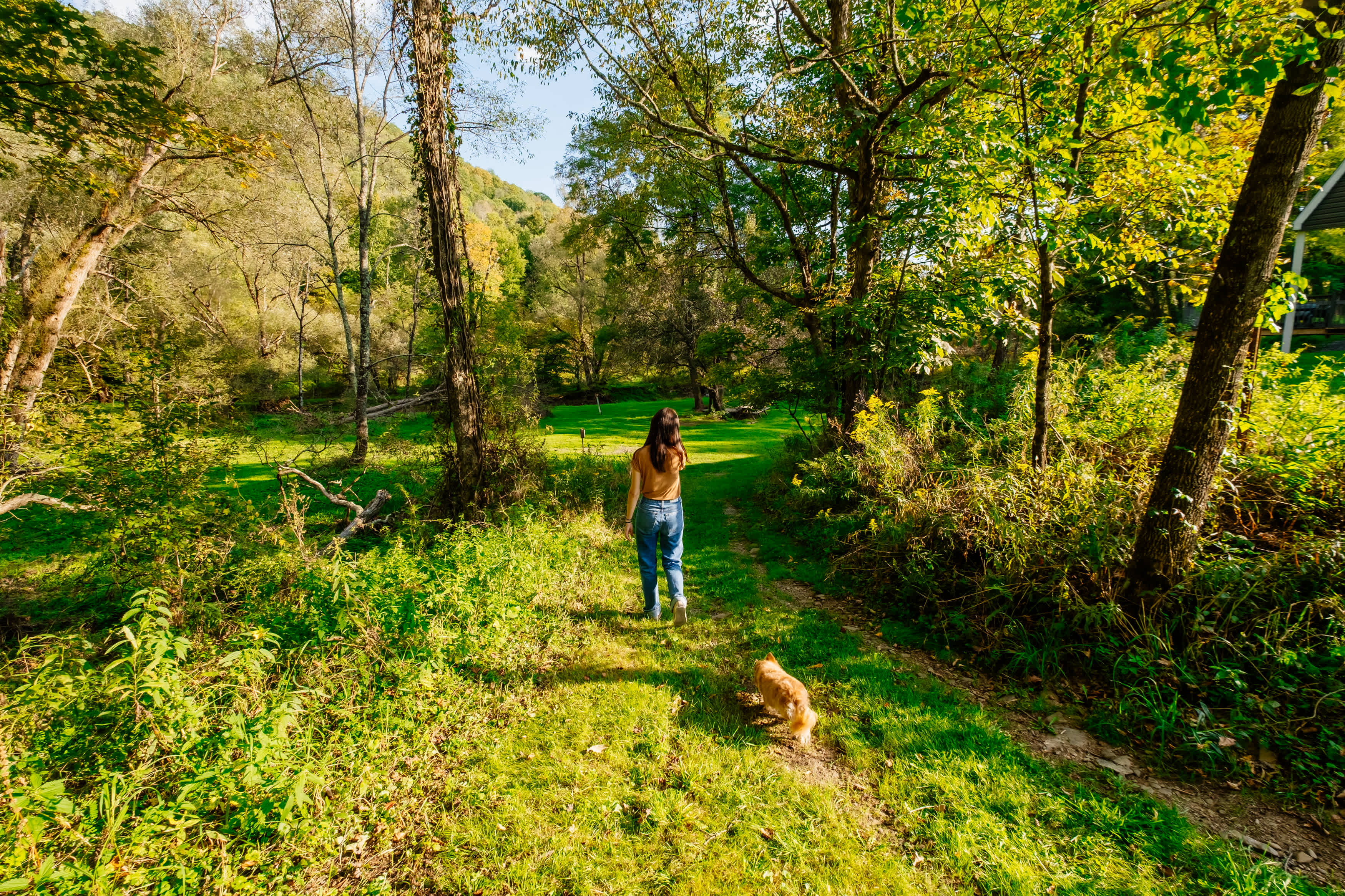 The pups loved the walking paths around the property.