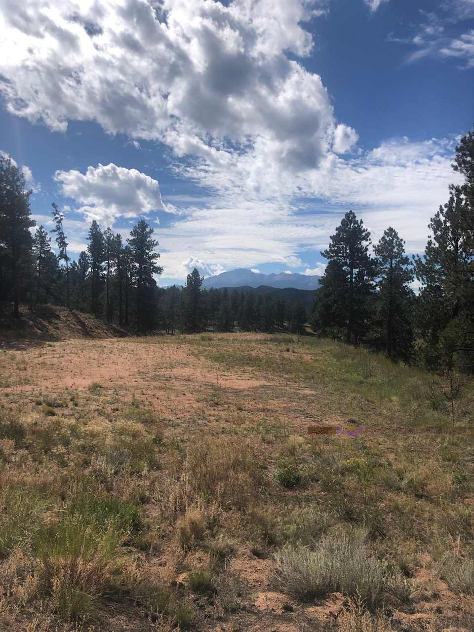 Dog friendly Peak Forest Ranch