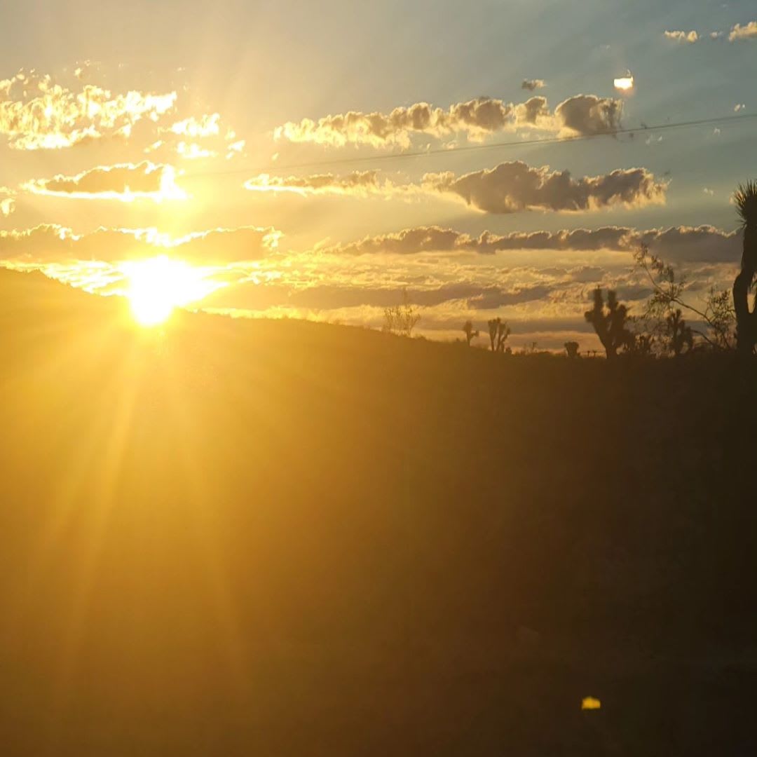 Desert Oasis: Sunsets& Stars