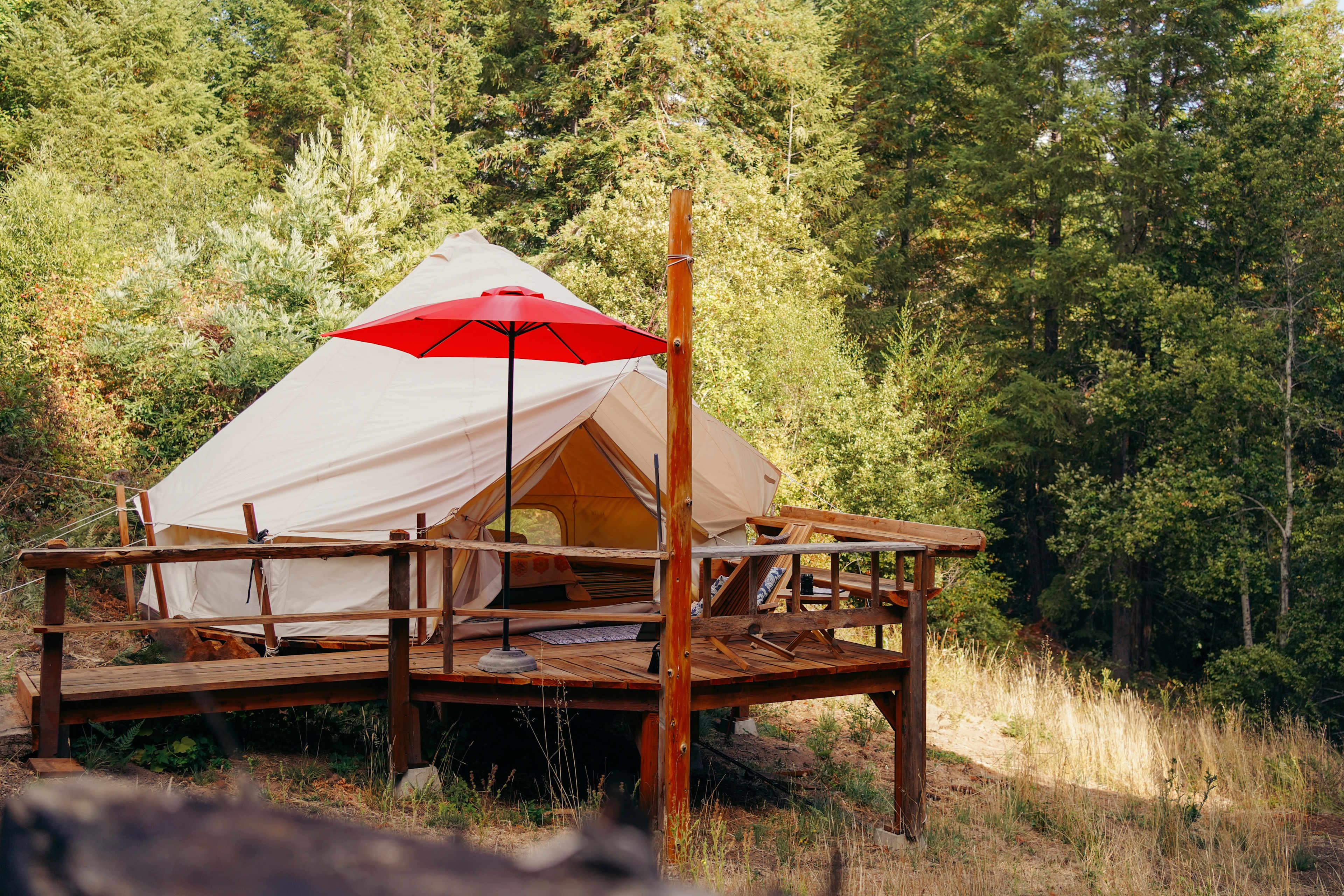 Butterfly landing tent 
