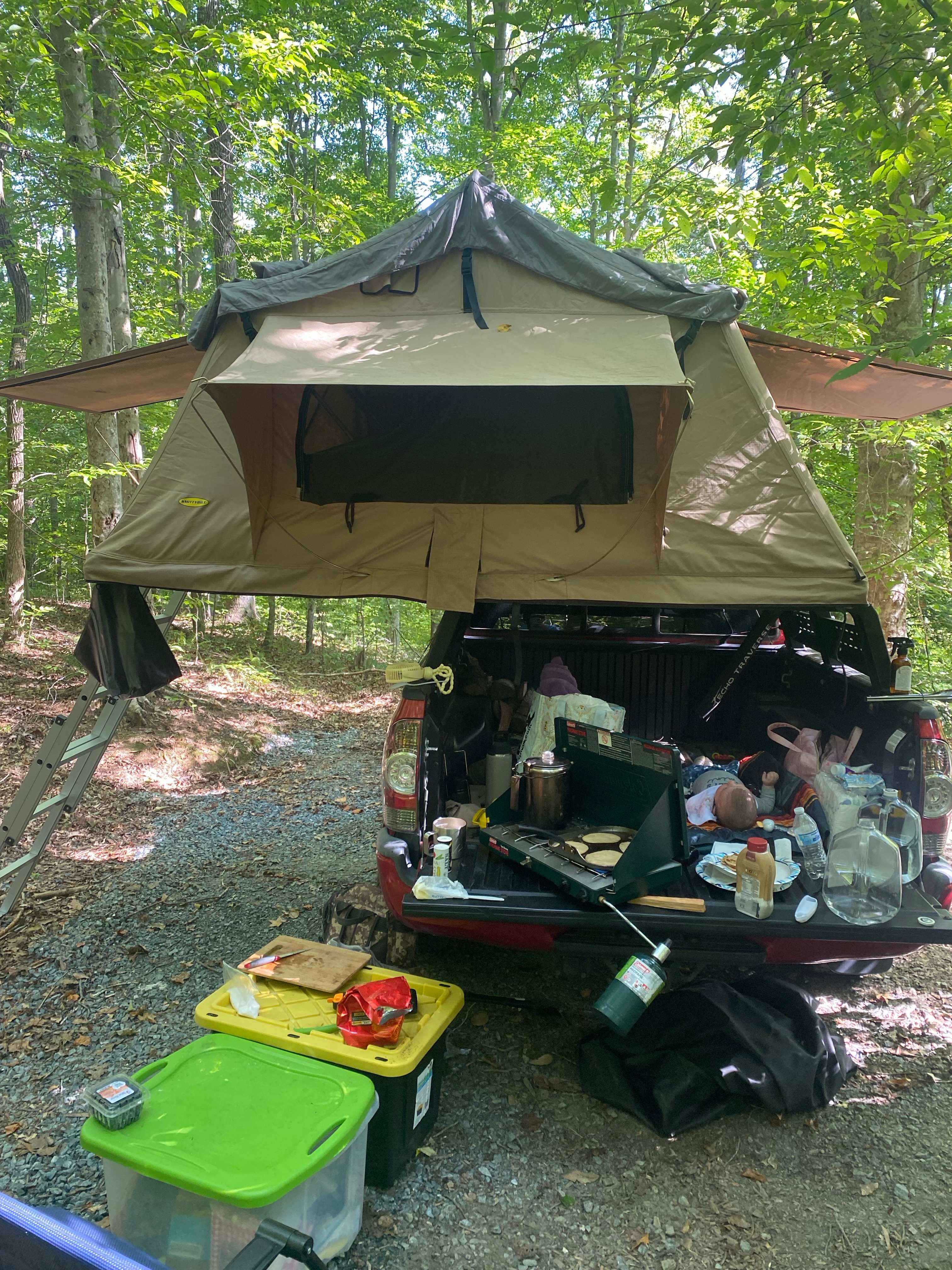 Picture of the site