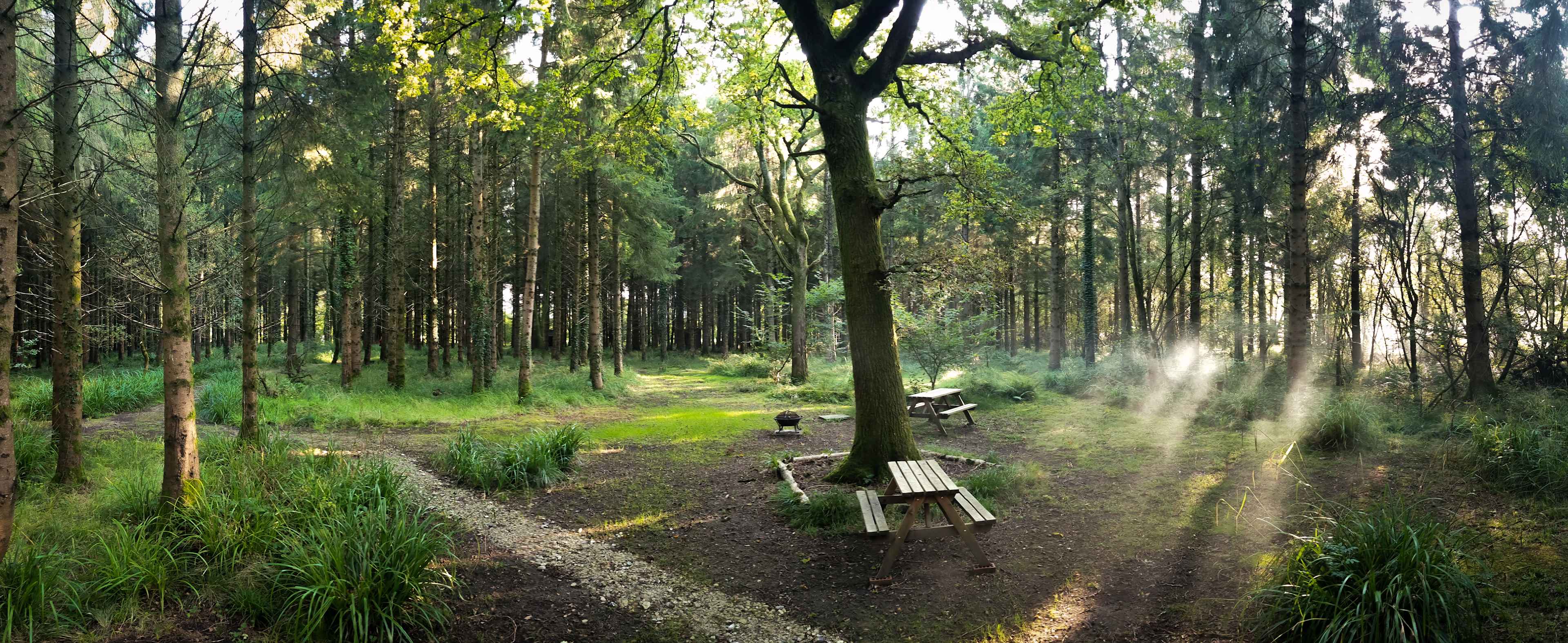 Bridgewood Camping - Woodland camps