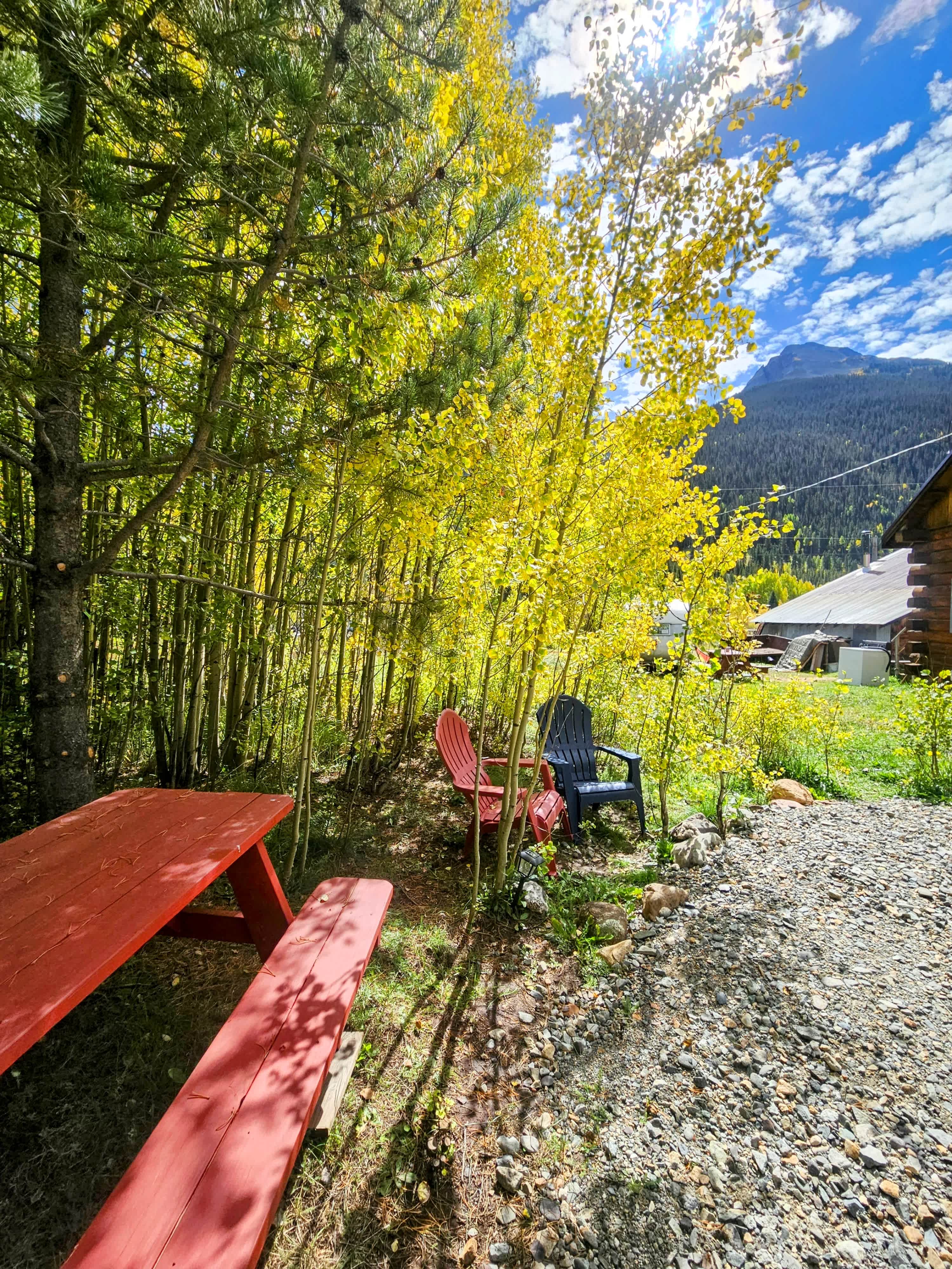 Aspens are turning September/October 