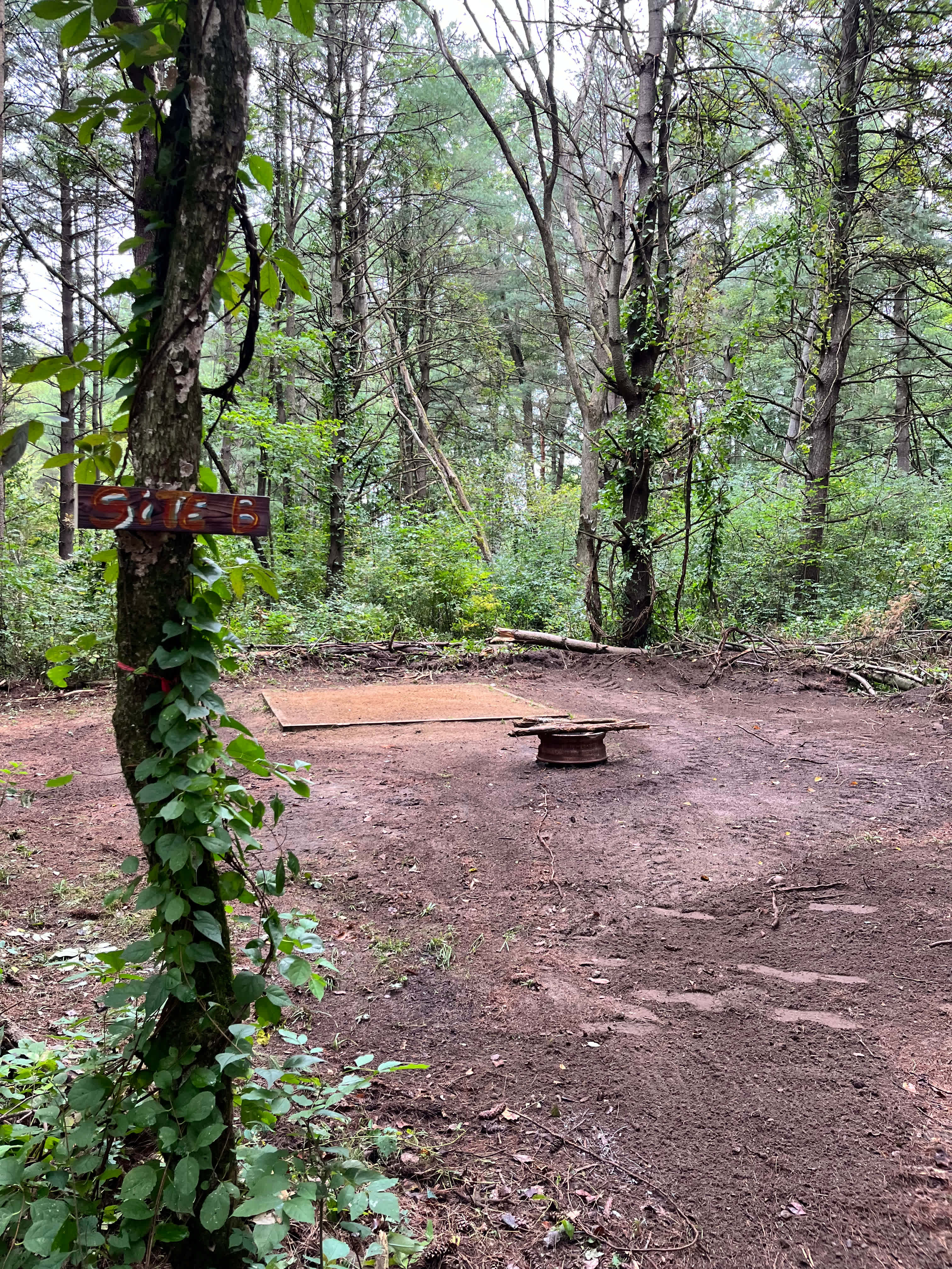 Picture of the site