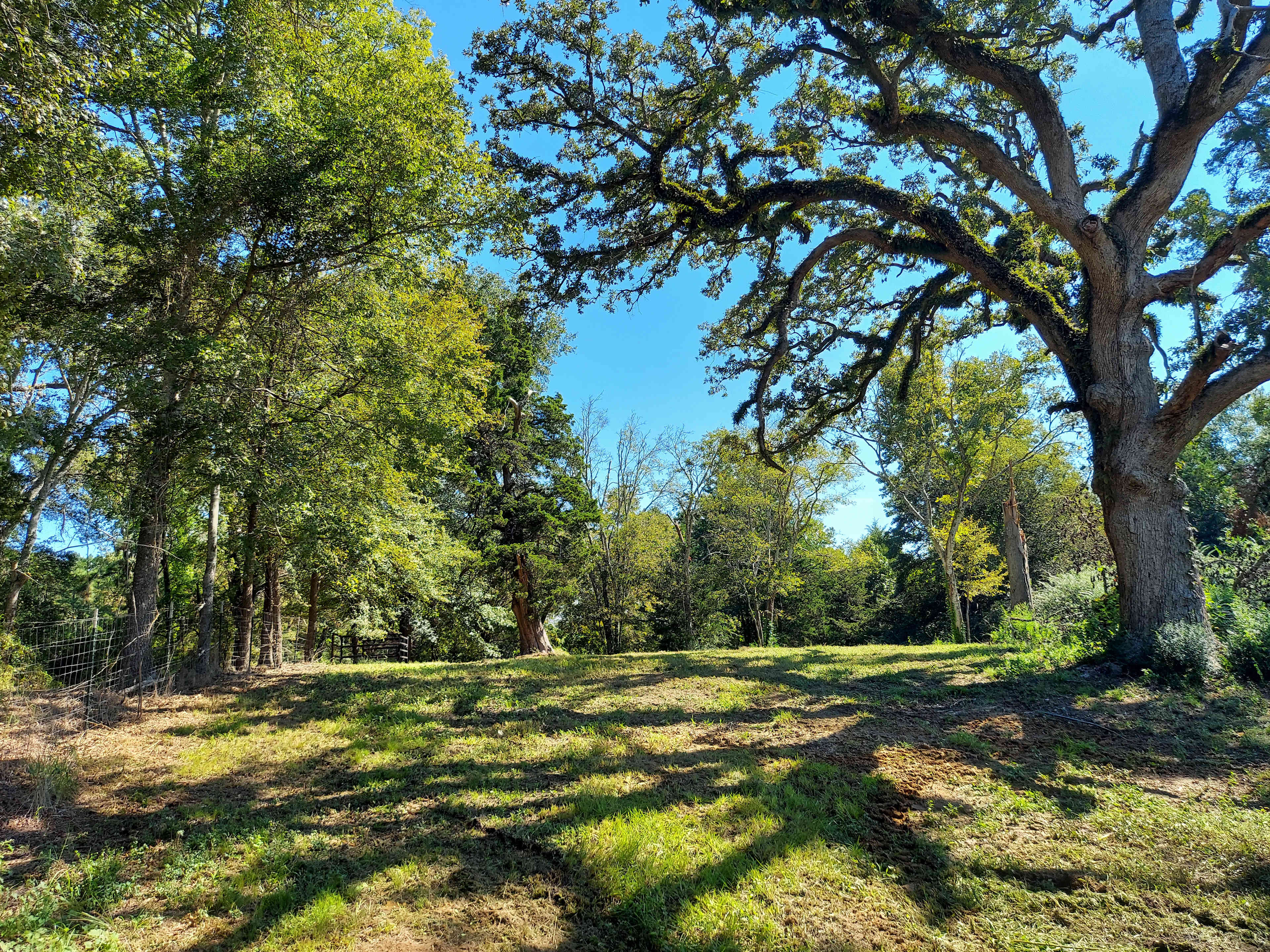 The Old Home Site Camp
