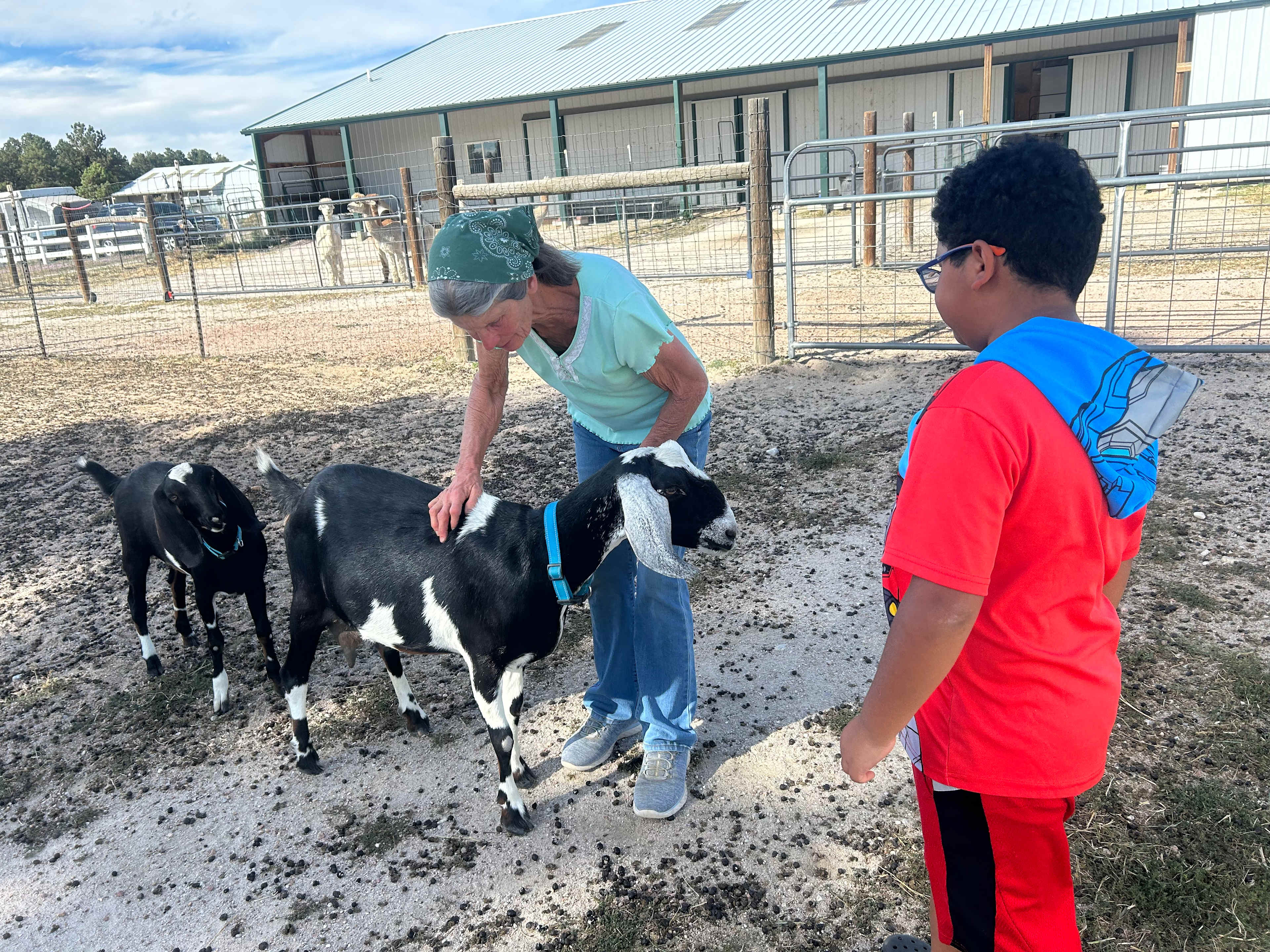 Falkor Ranch