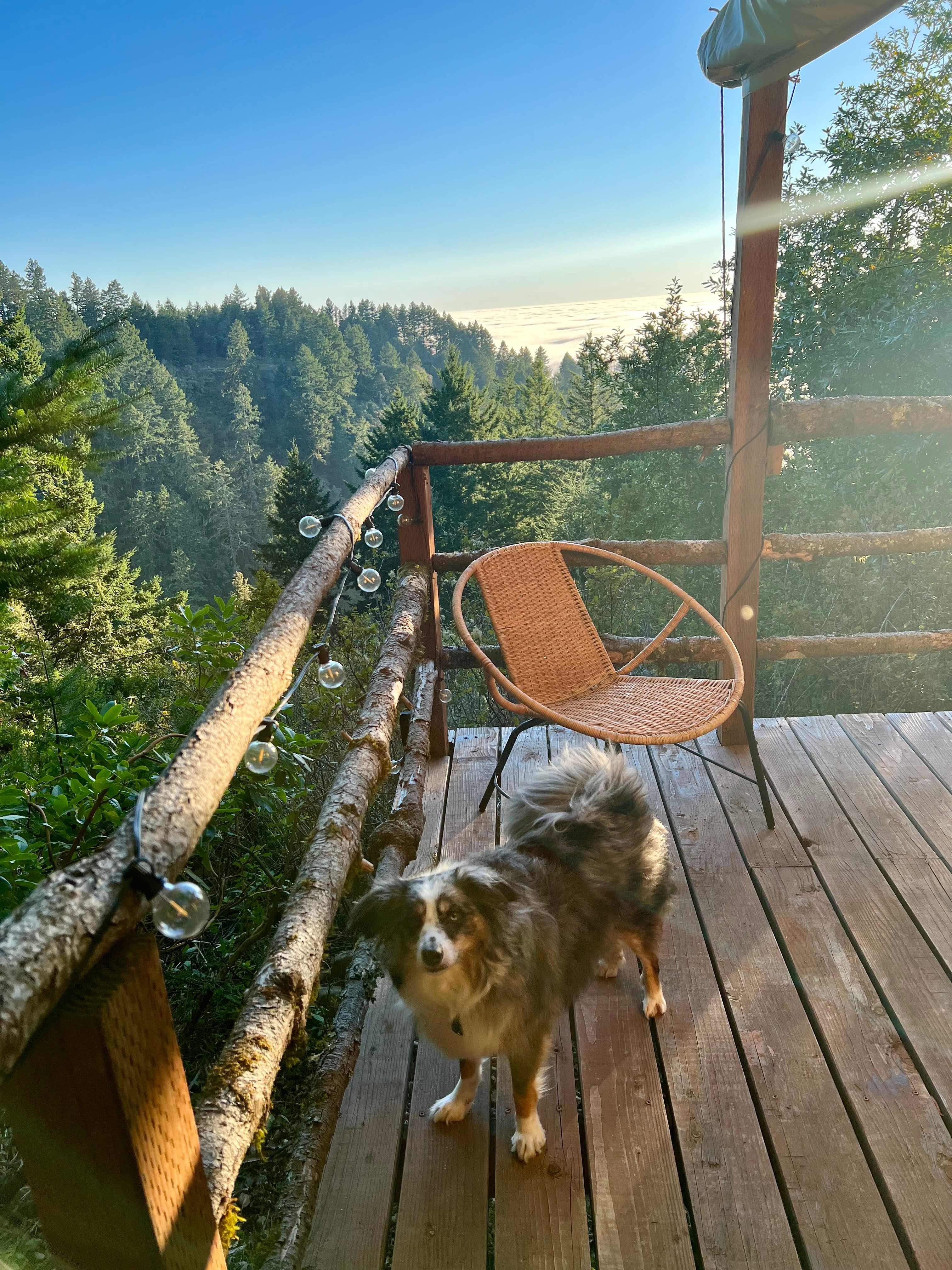 Kings Mountain Camp w/ ocean views