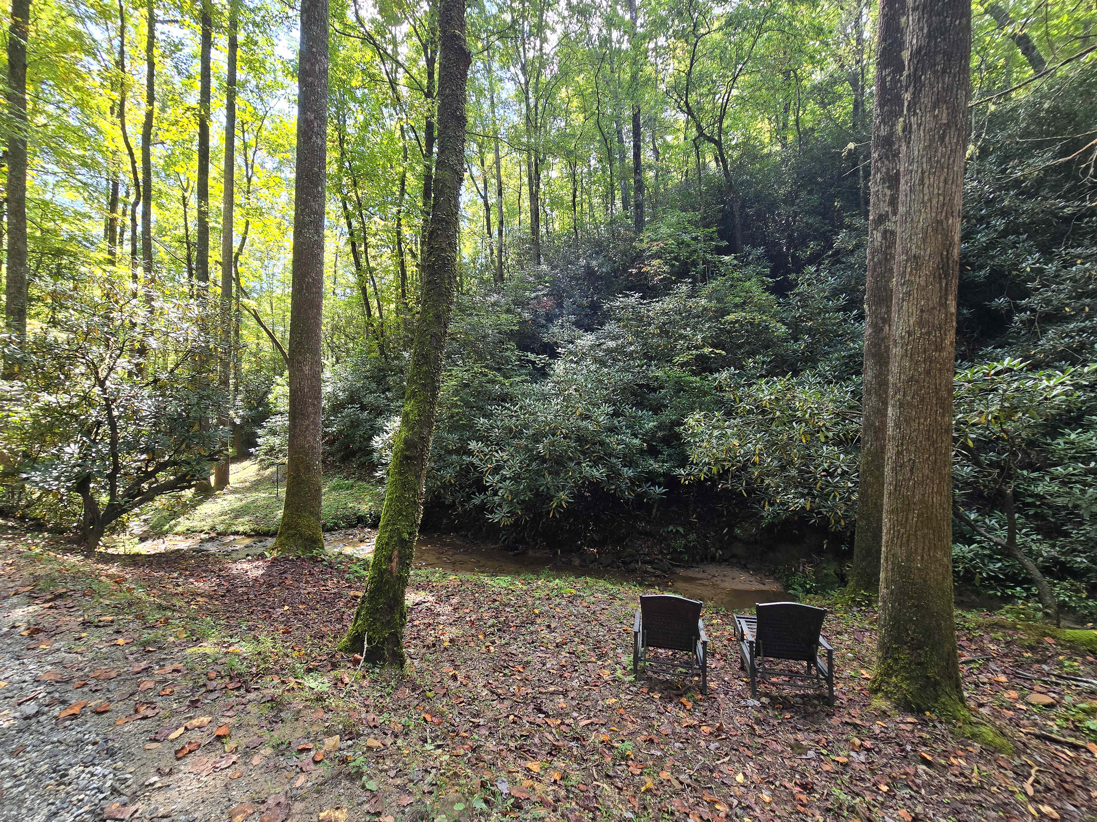 Toxaway Camp & Glamp