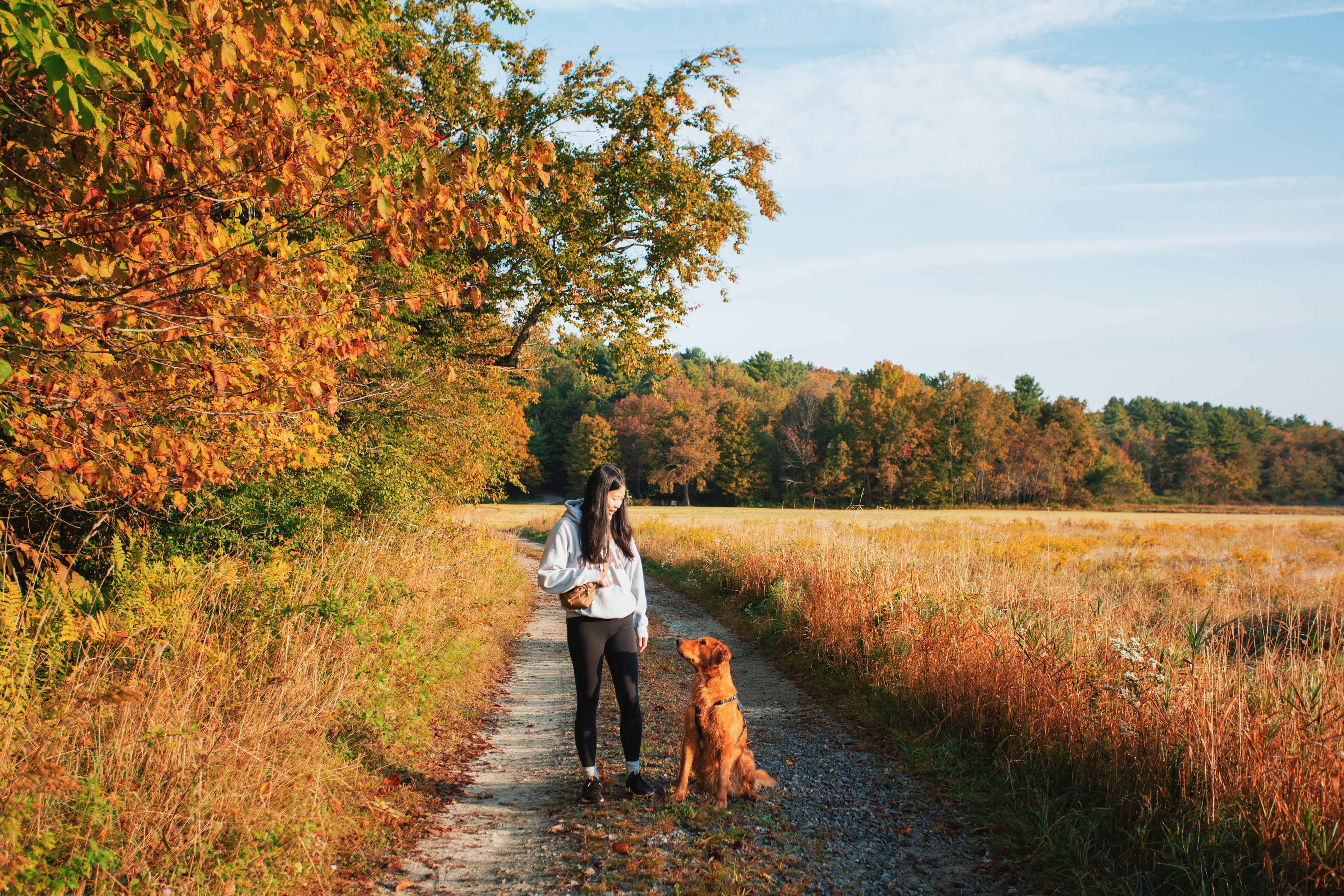 Maple Corner Farm