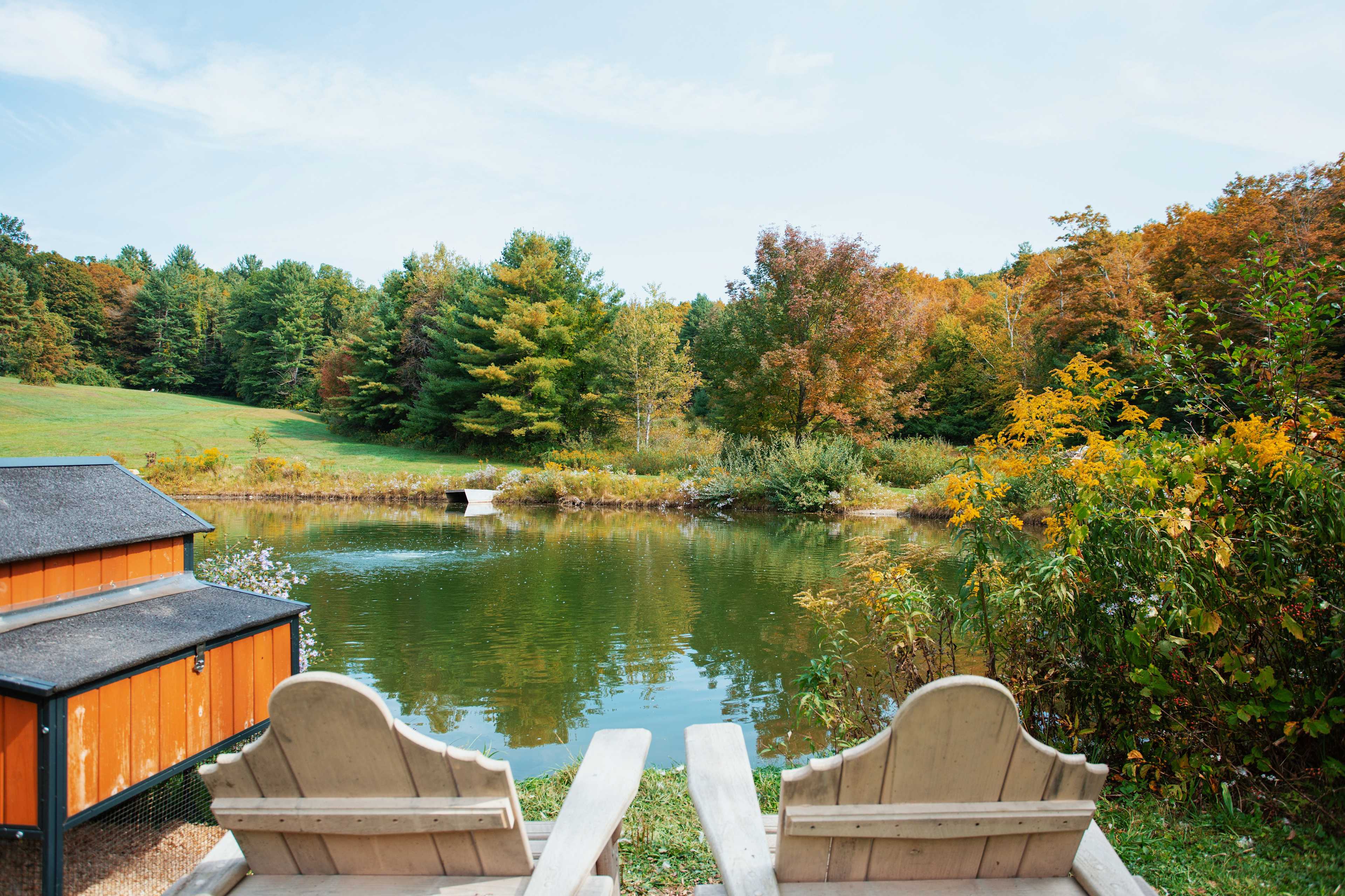 Green Pond Paradise