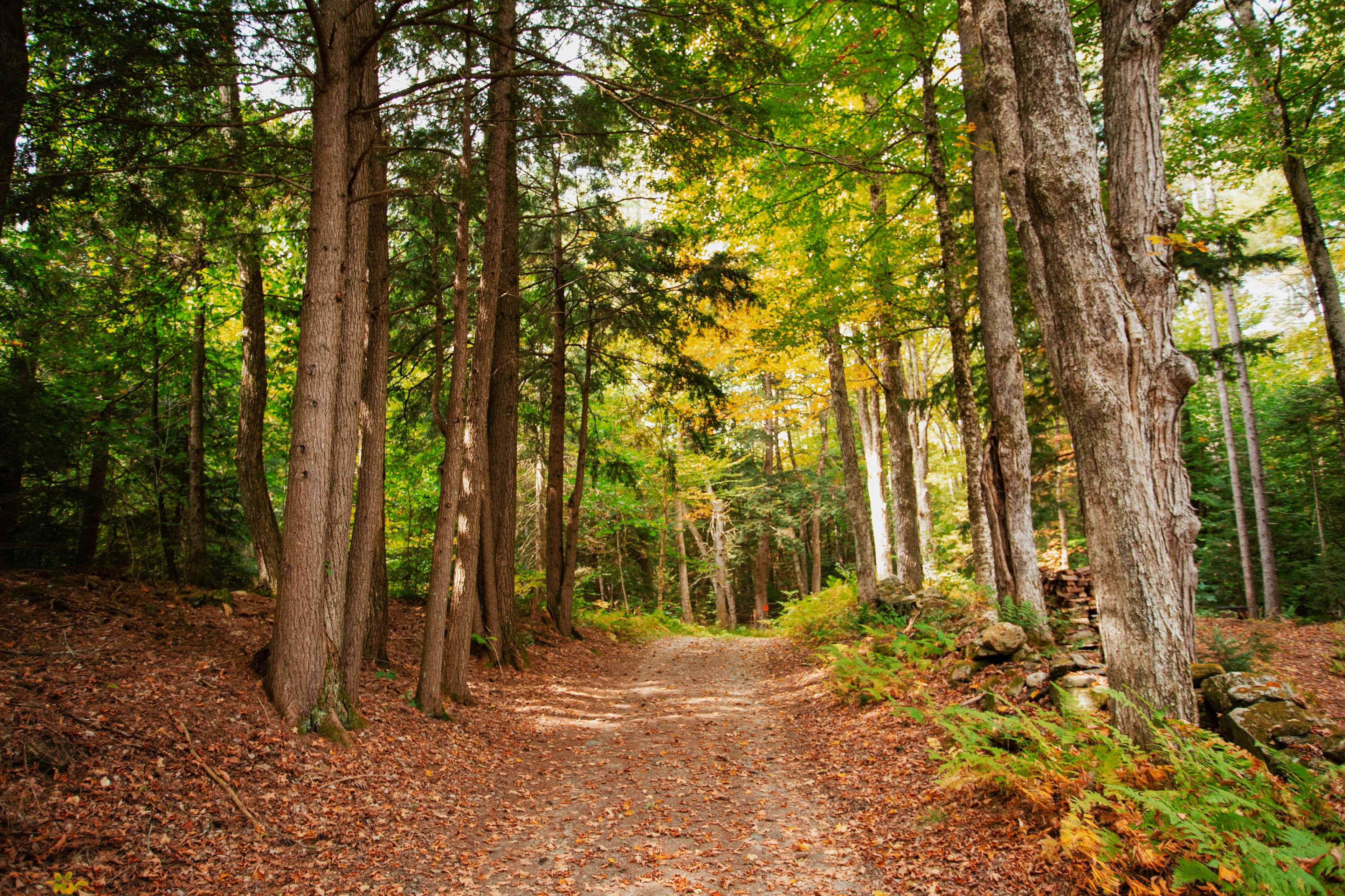 Secluded Stays At Quill Nook Farm