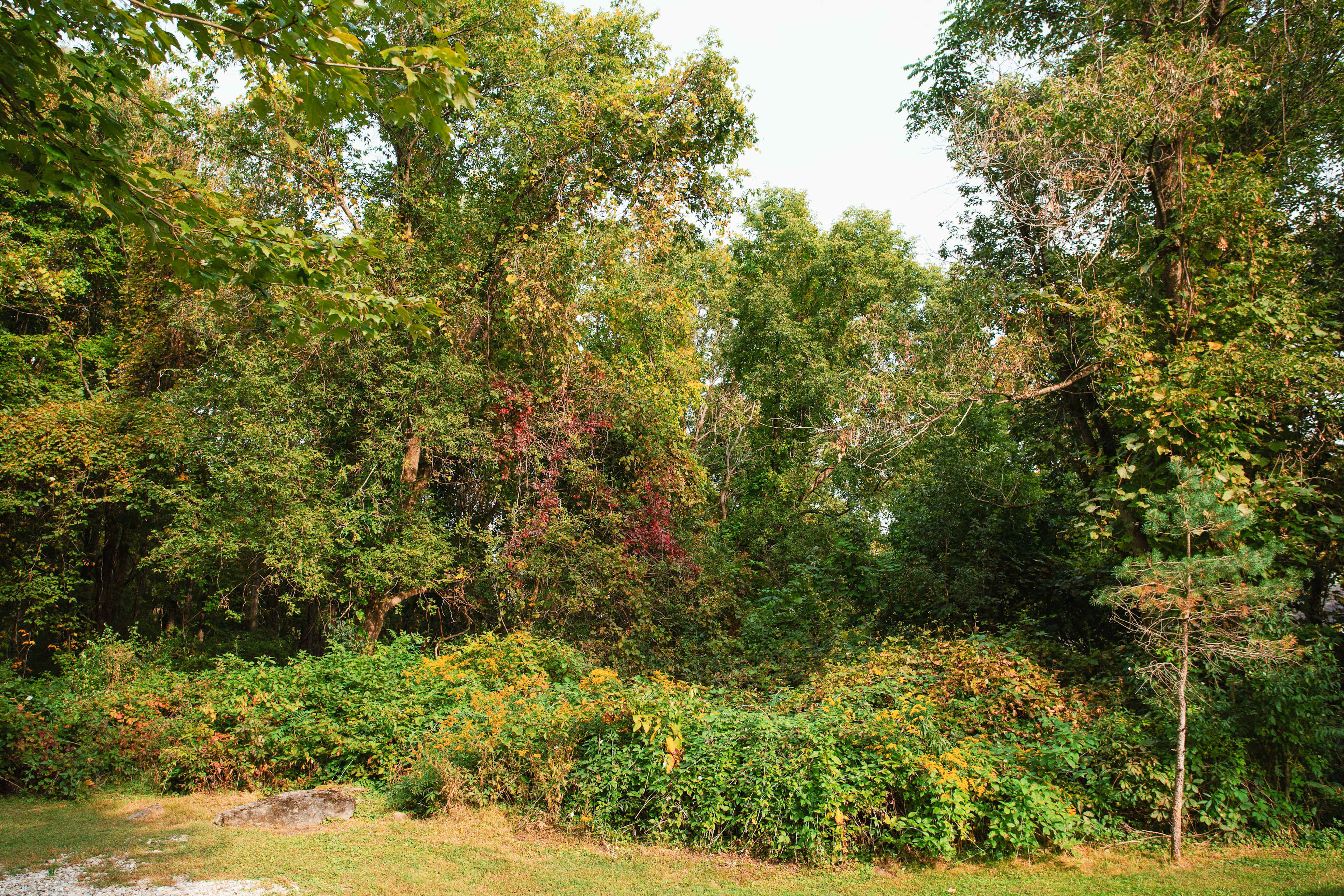 Haven Acres