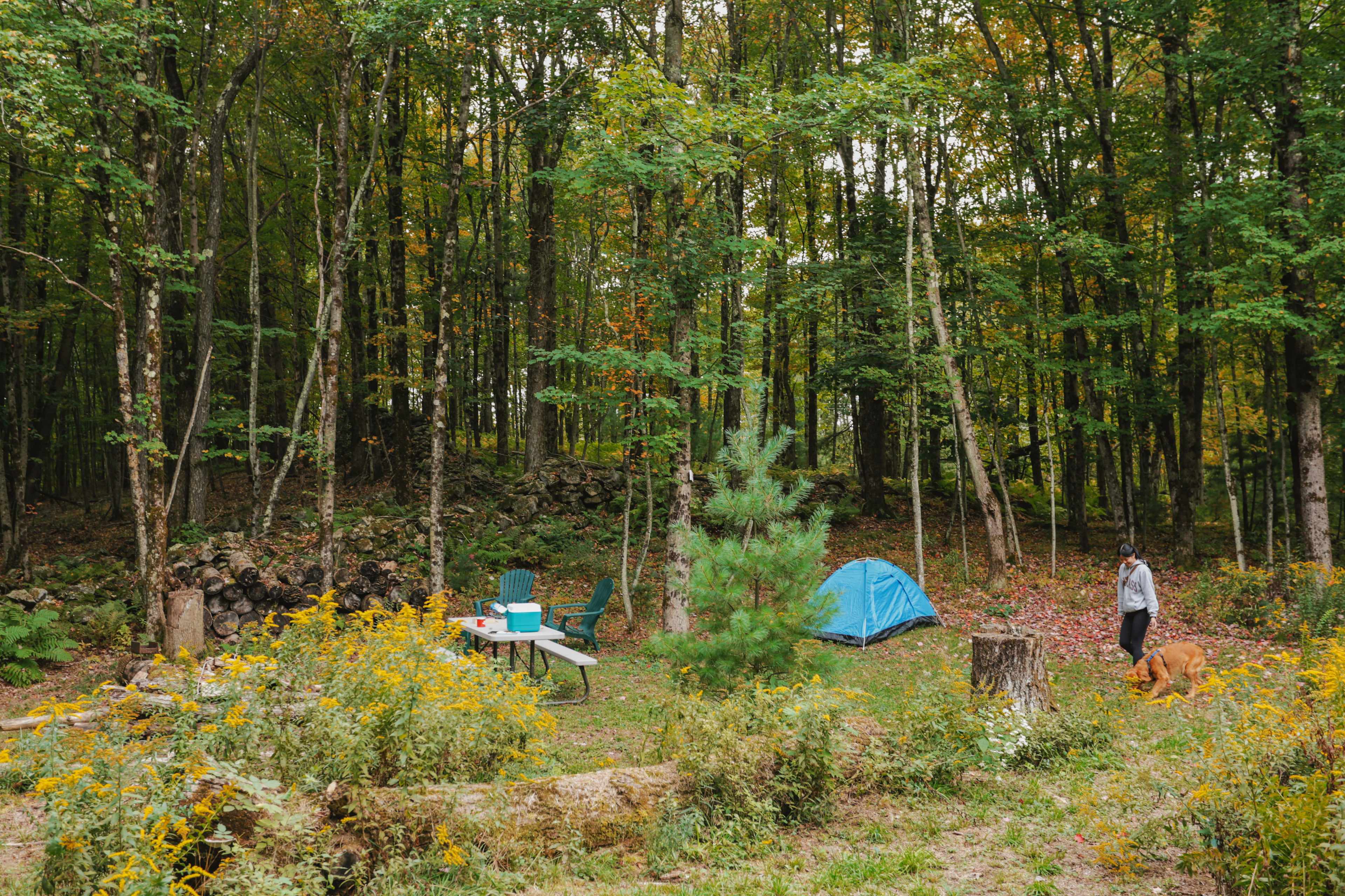 Site 2