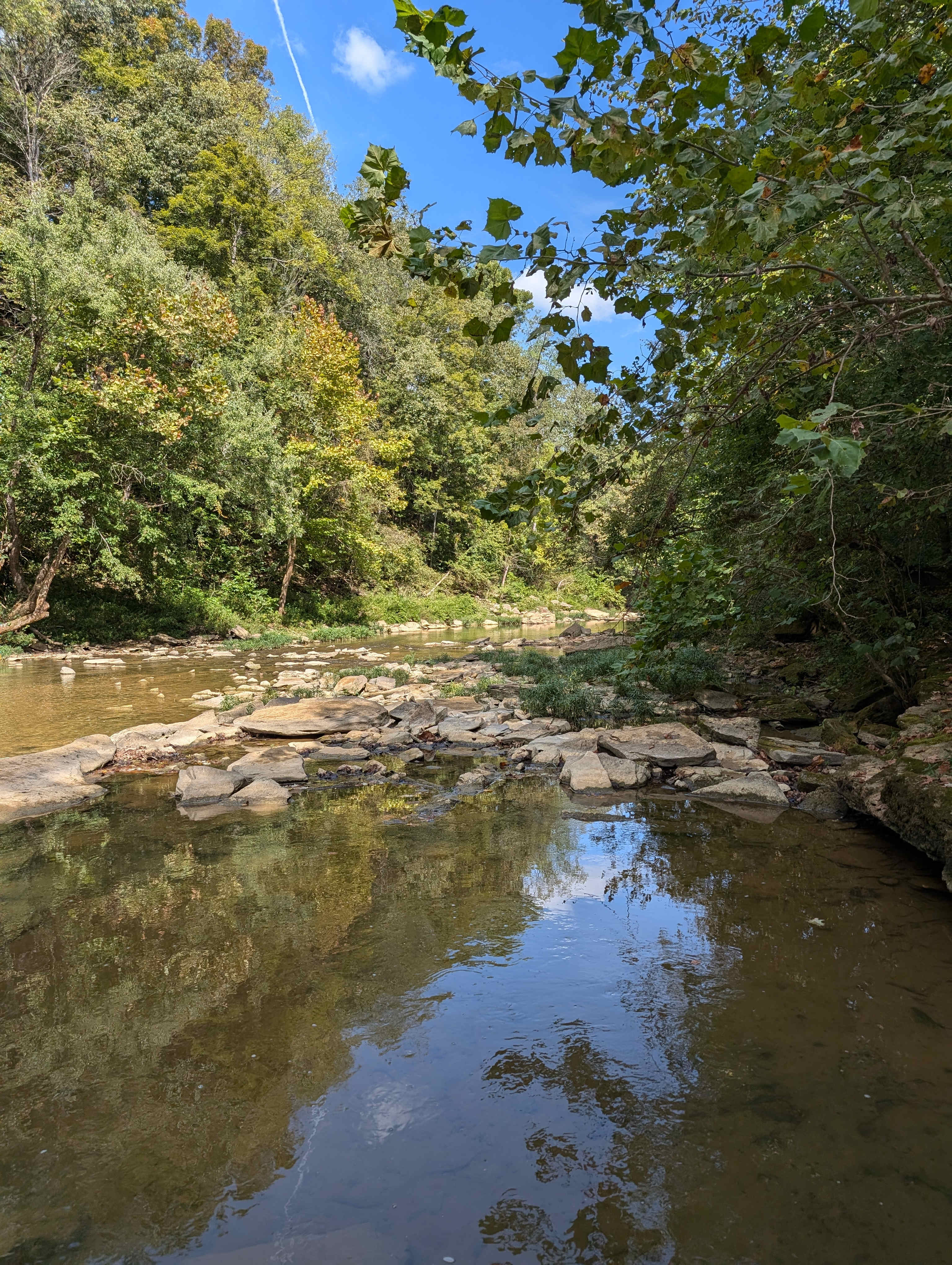 Barren River Magic