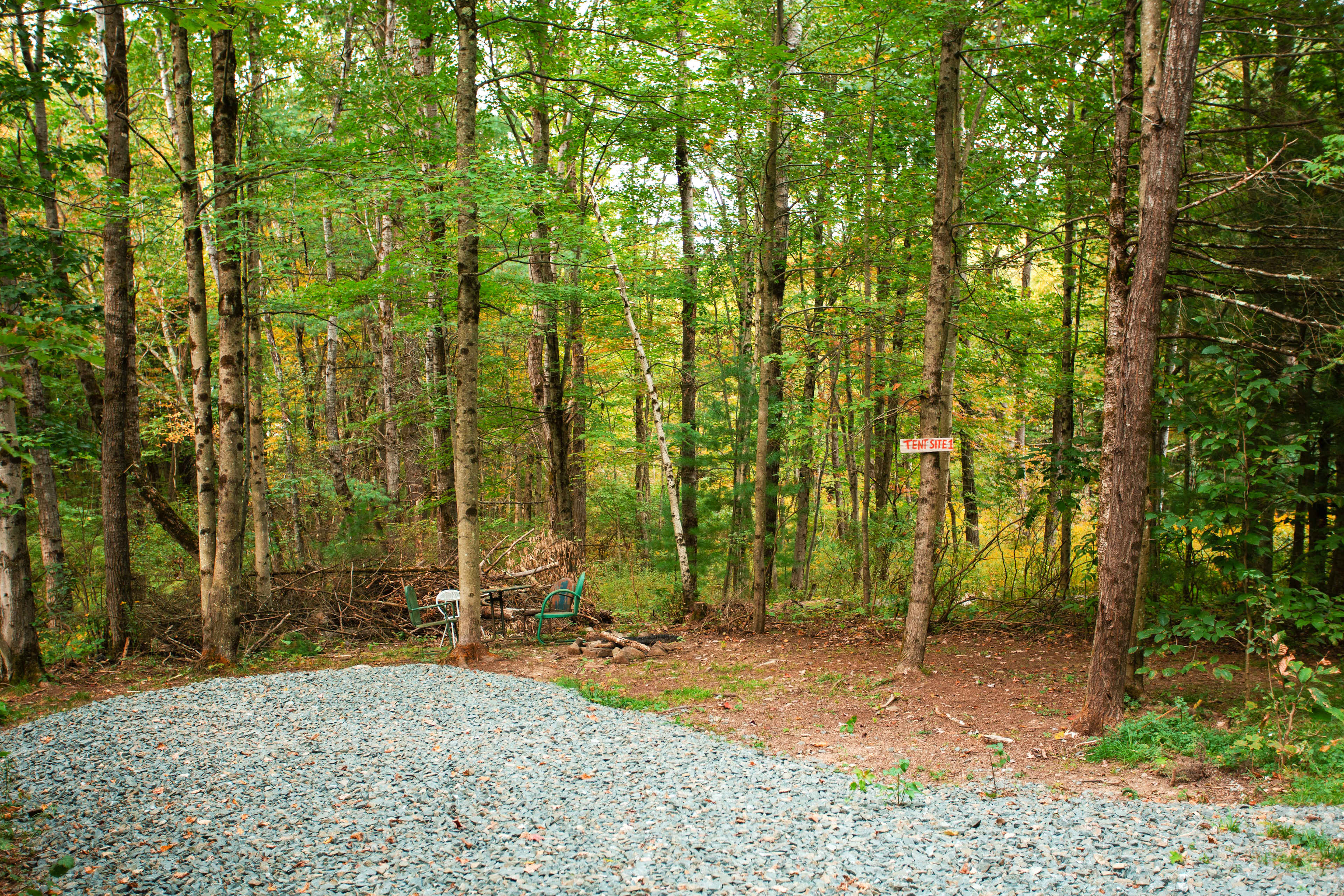 Site 1