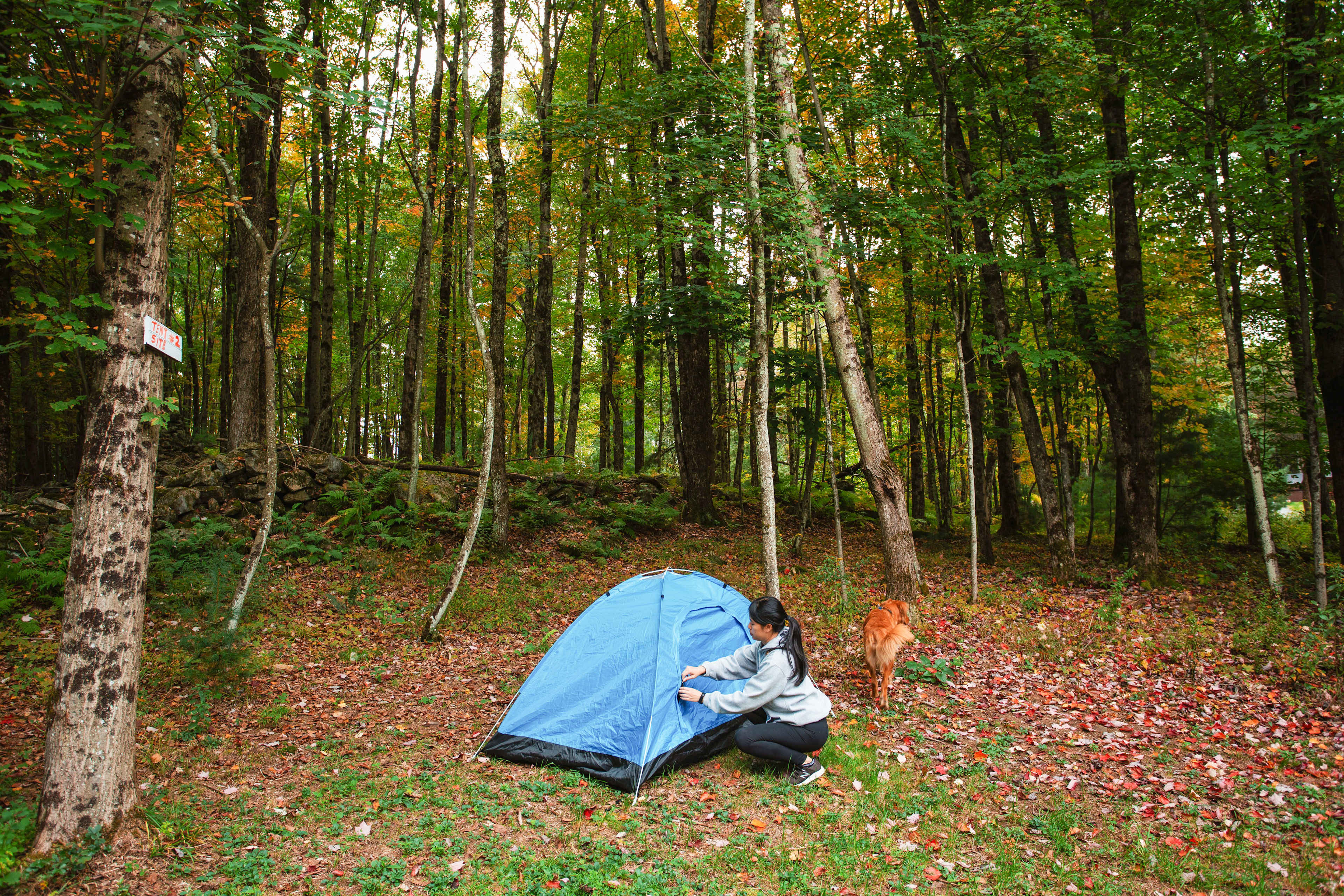 Site 2