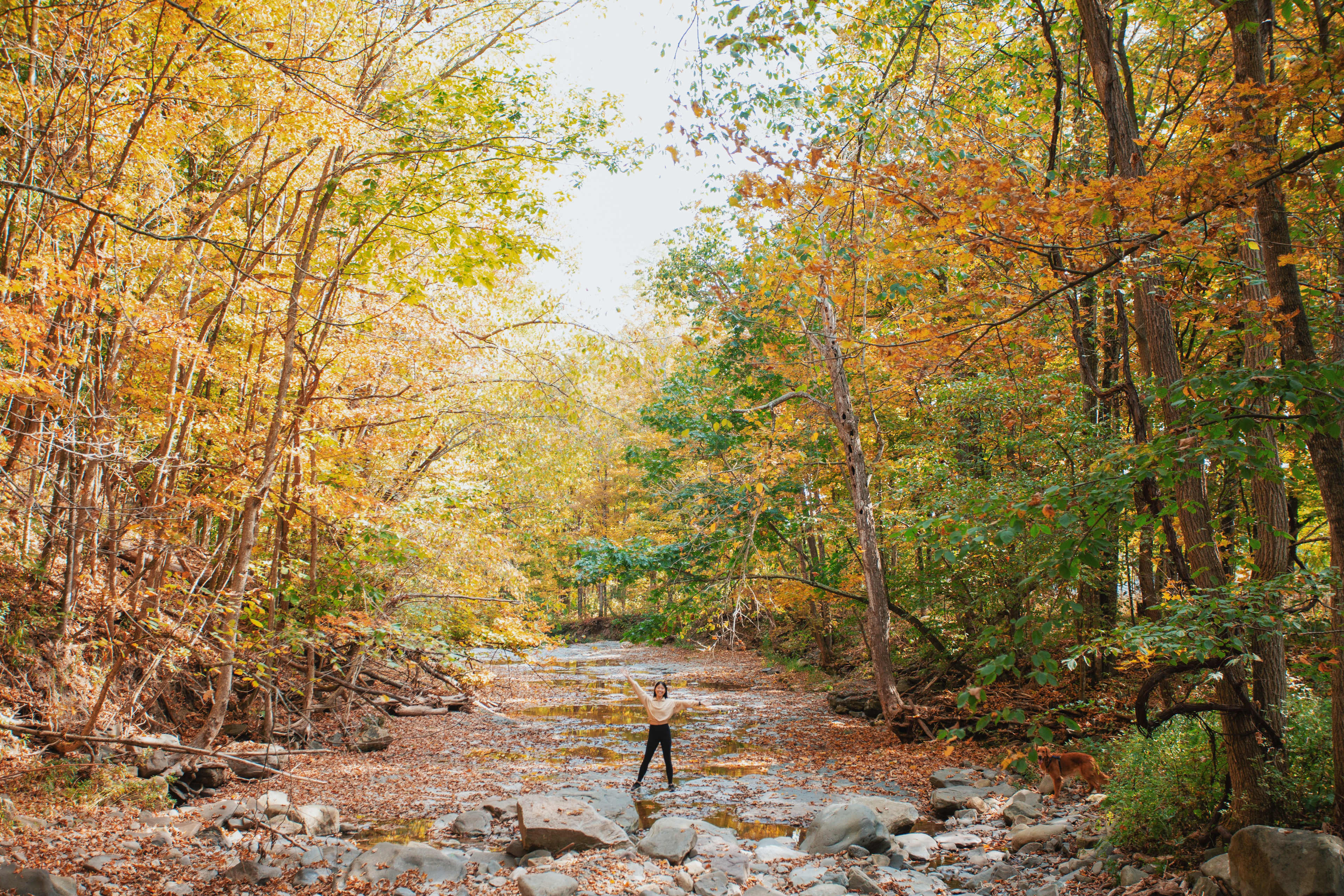Locust Grove Waterfall