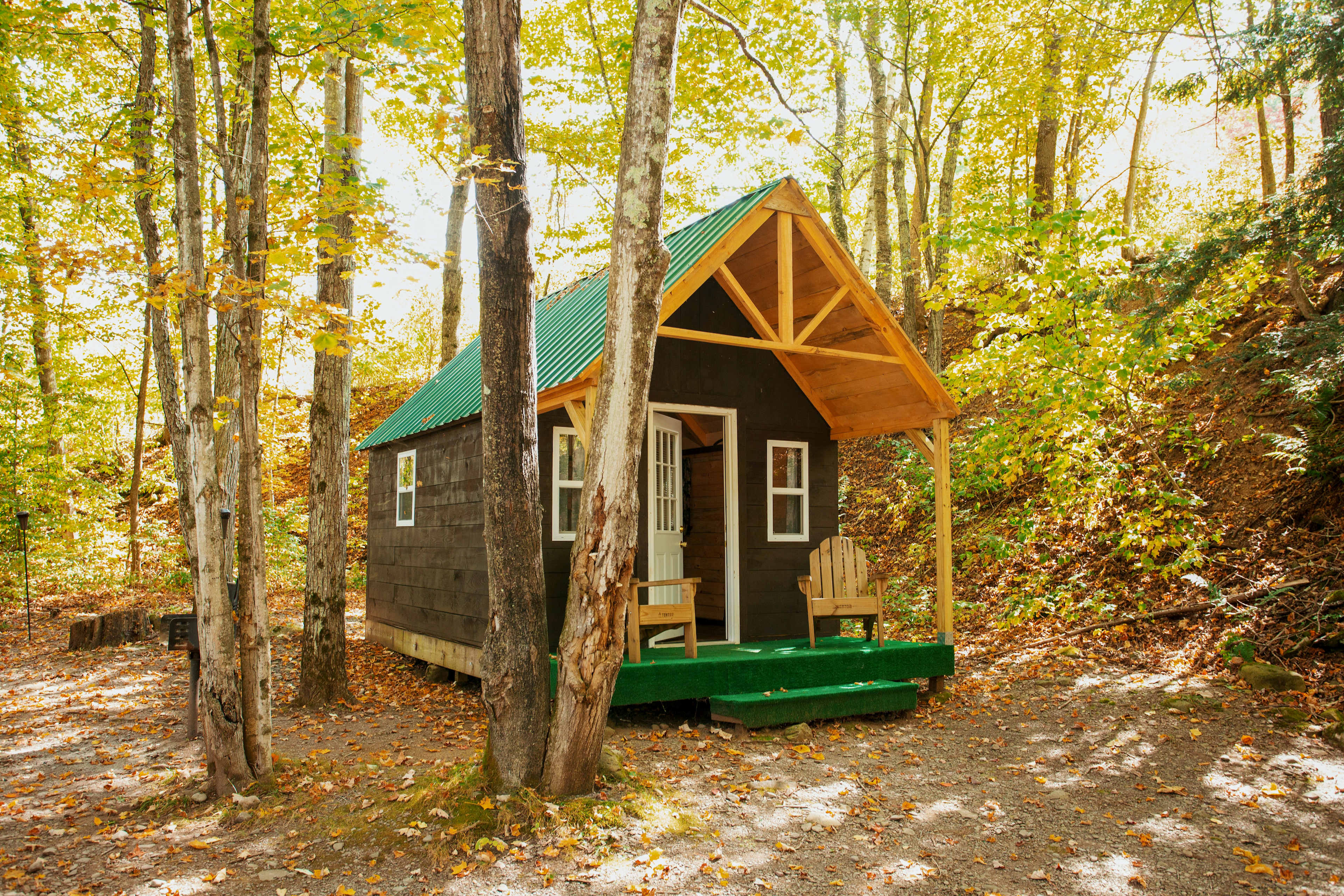 Bearkill Brook Campsite