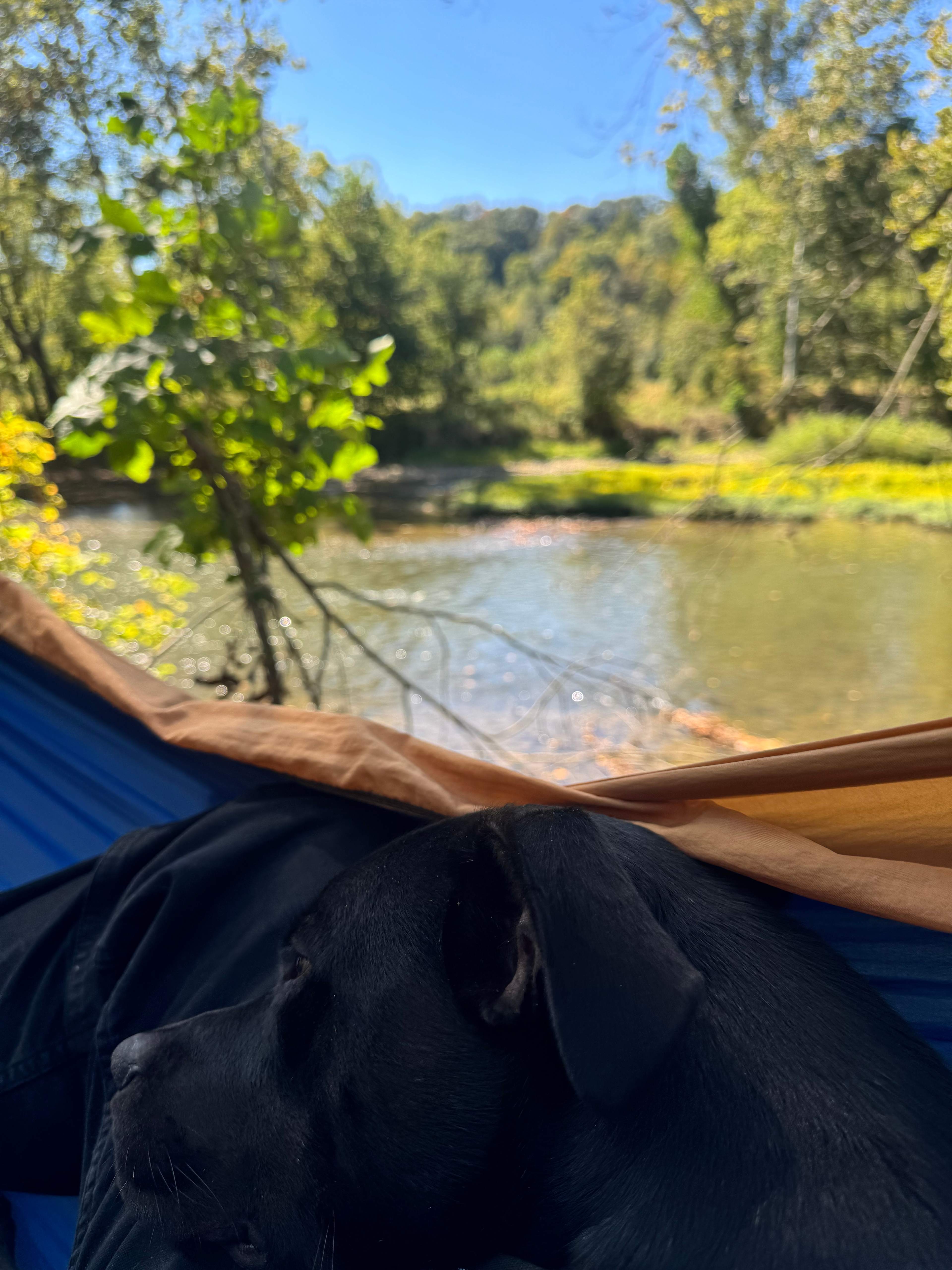The Brink L & L's Outdoor Haven