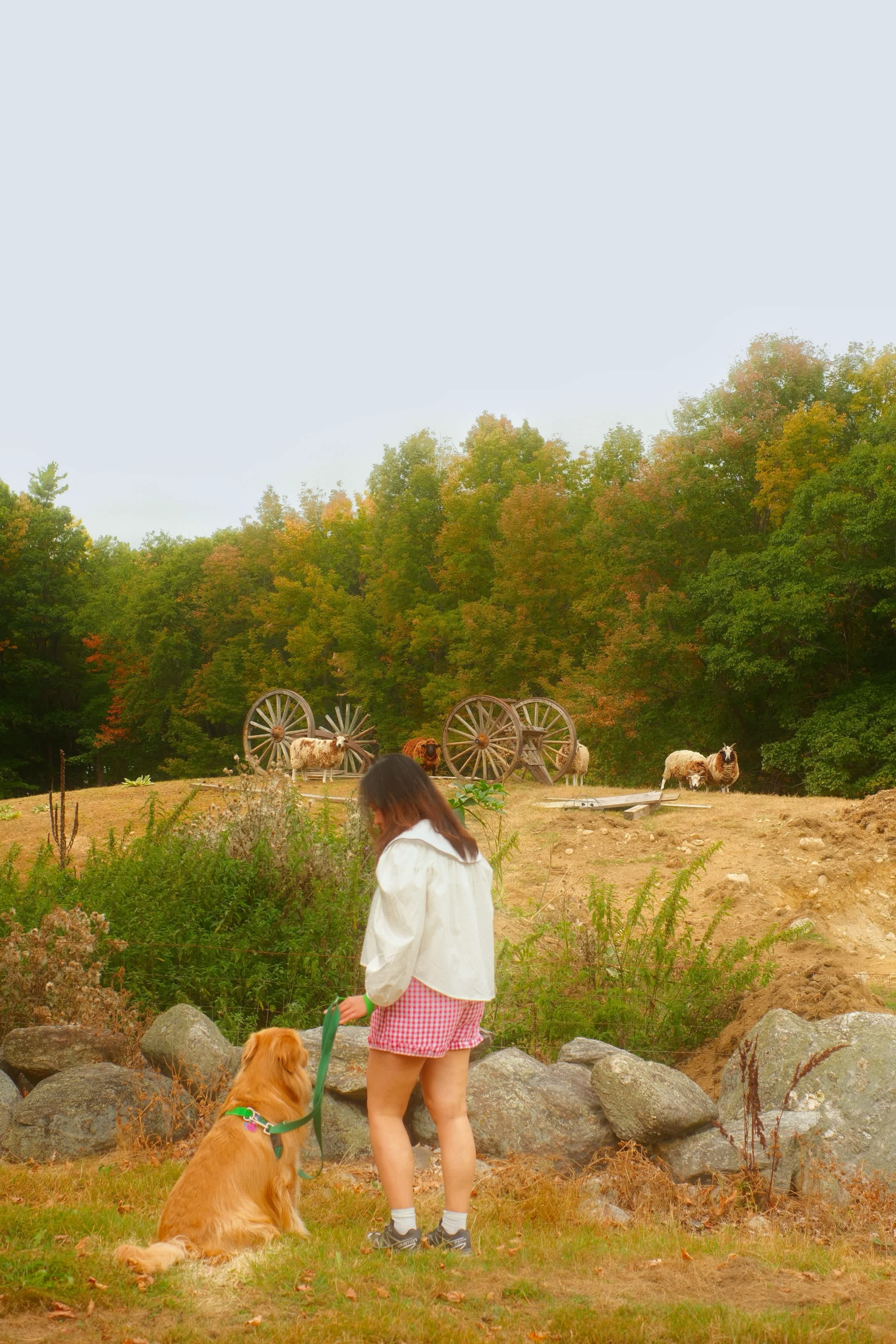 BrandiLee Woods at the Woolley farm
