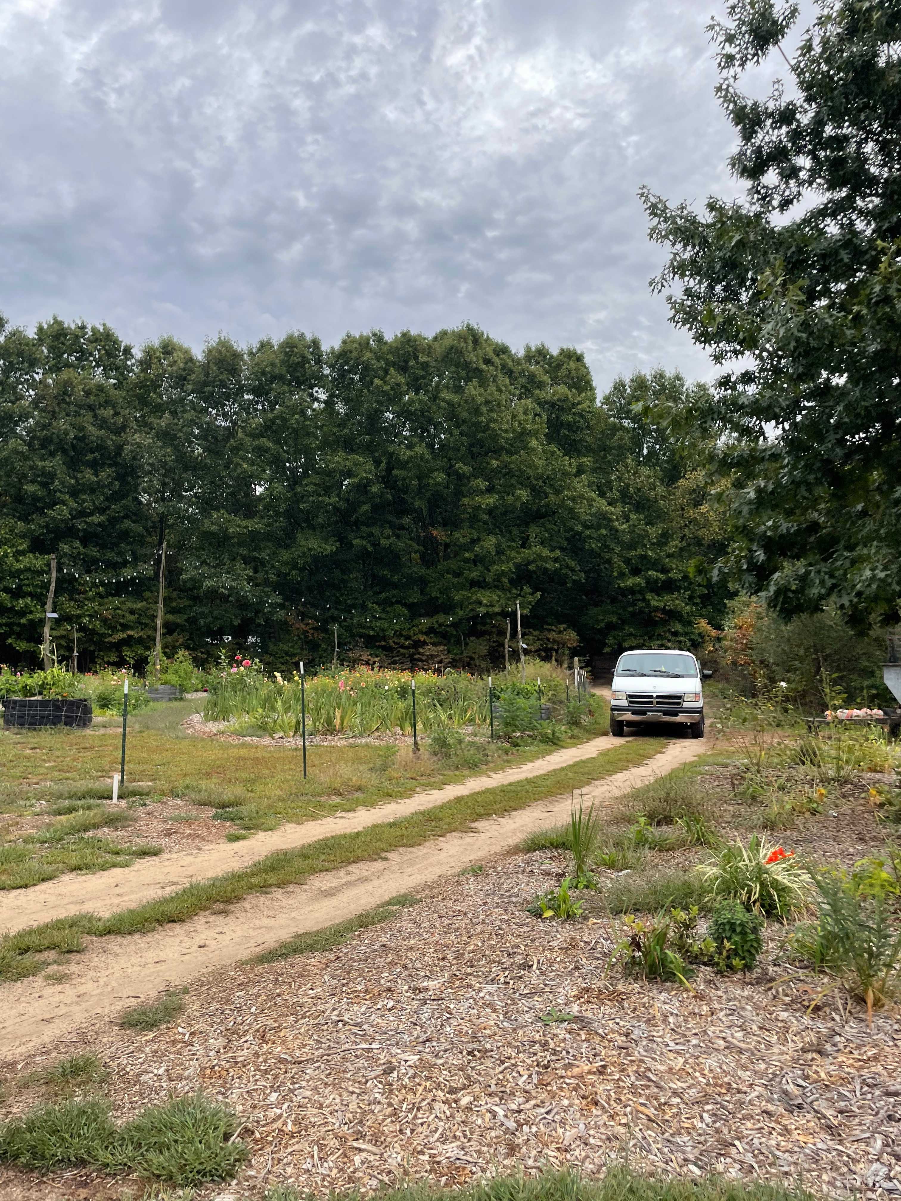 Blooming Bus Farms