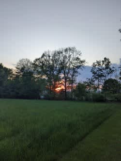 Longview Living