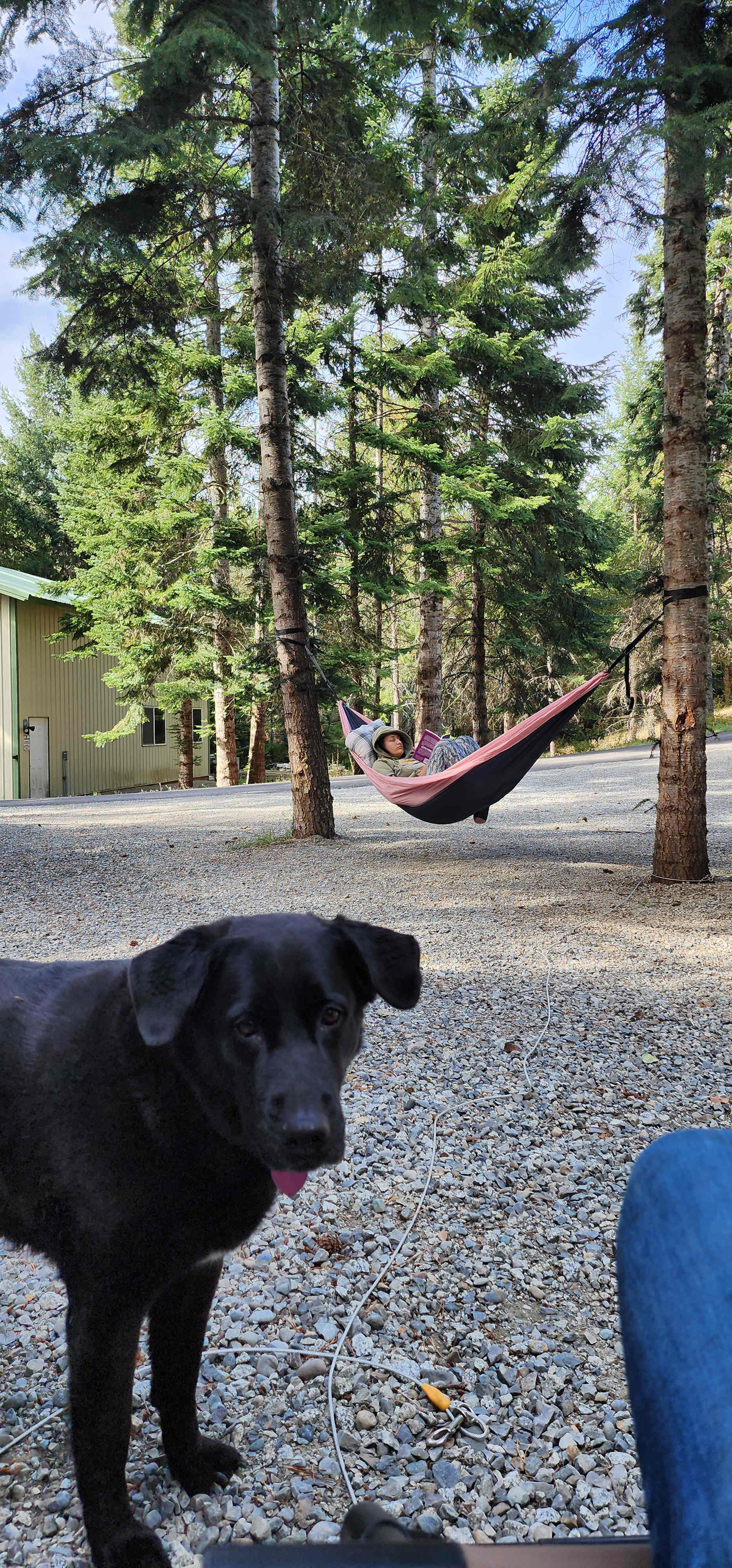 The Mad Moose Ranch