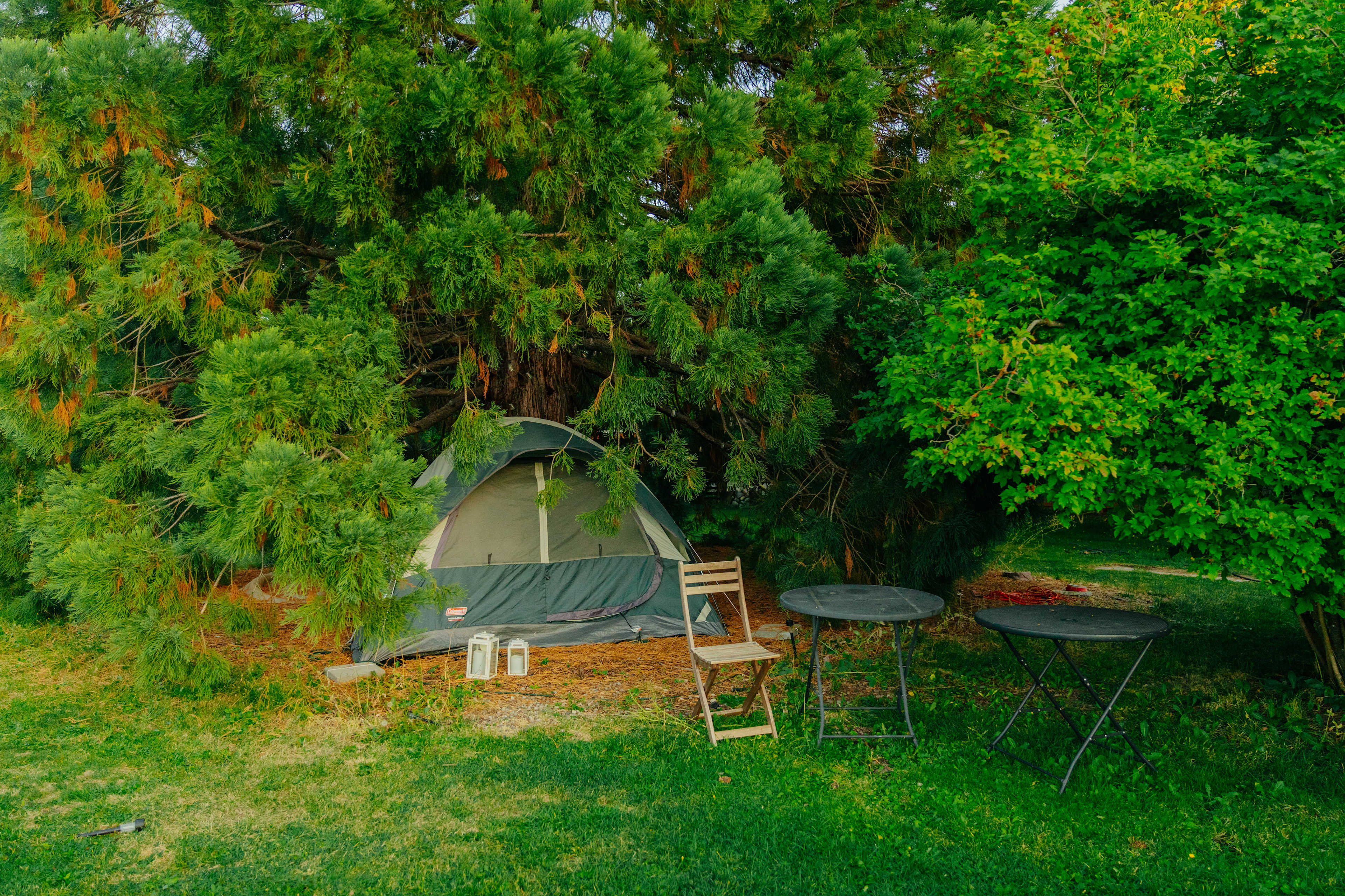 Shasta Gardens