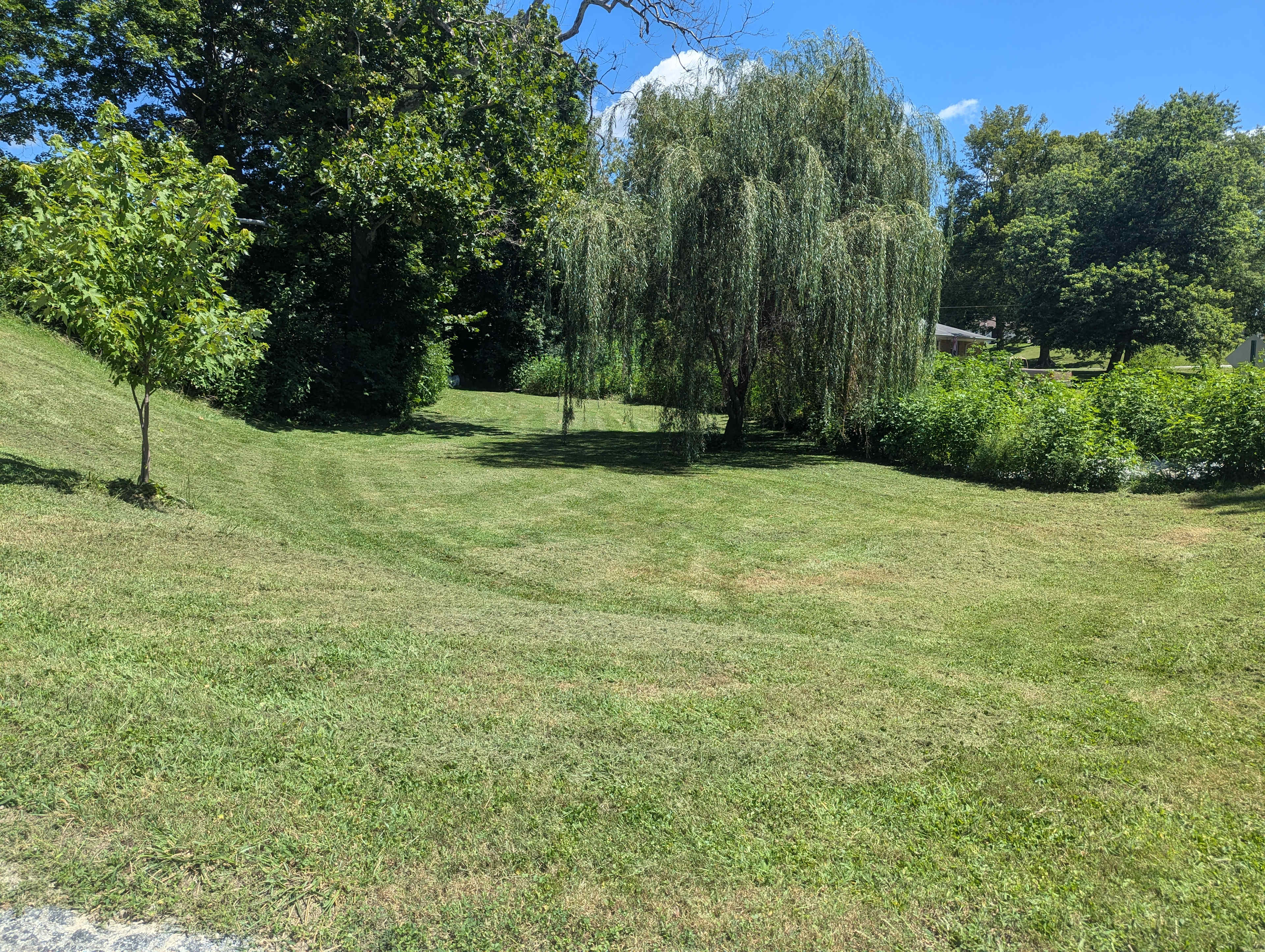 The Healing Hill Homestead