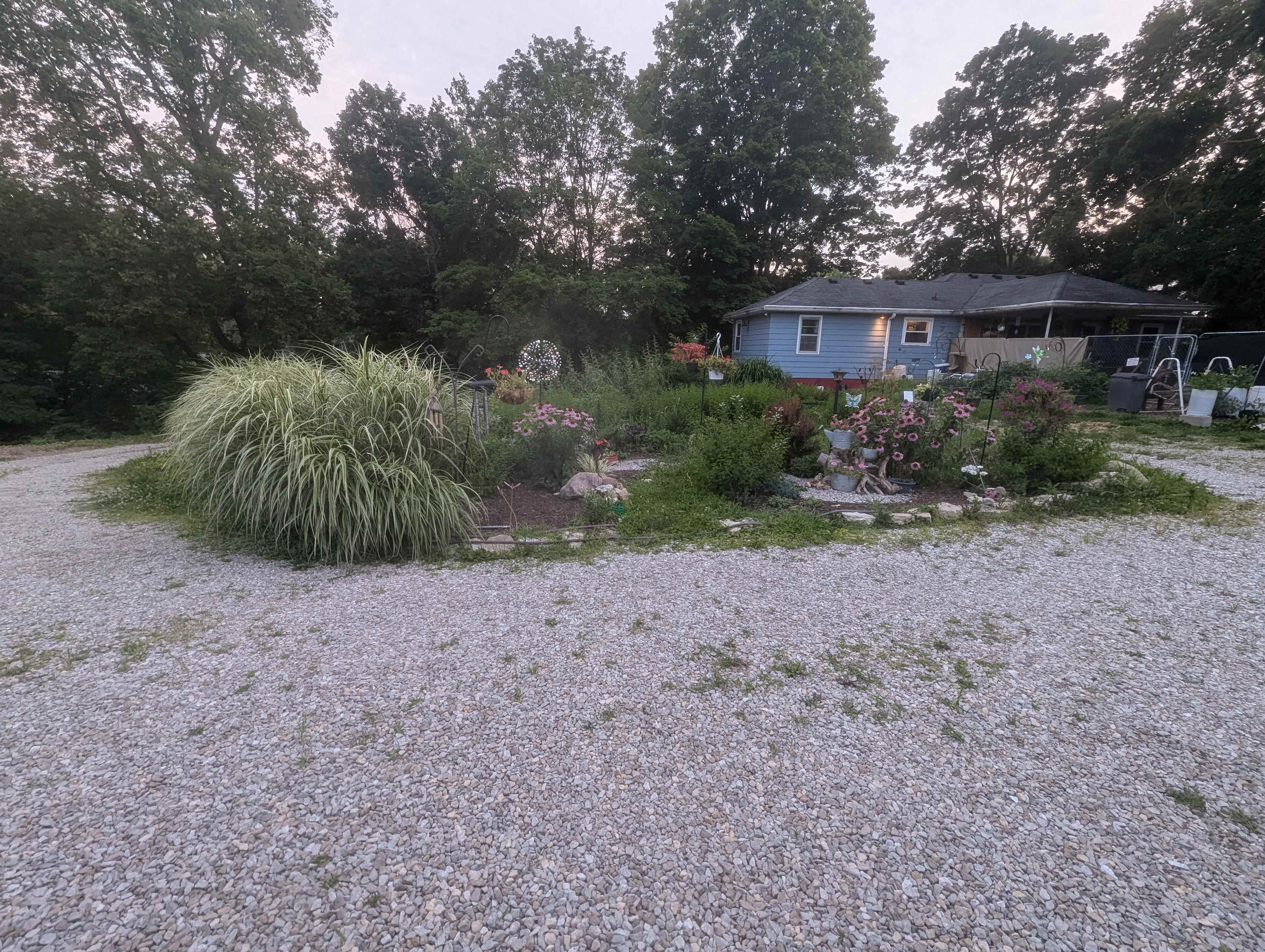 The Healing Hill Homestead