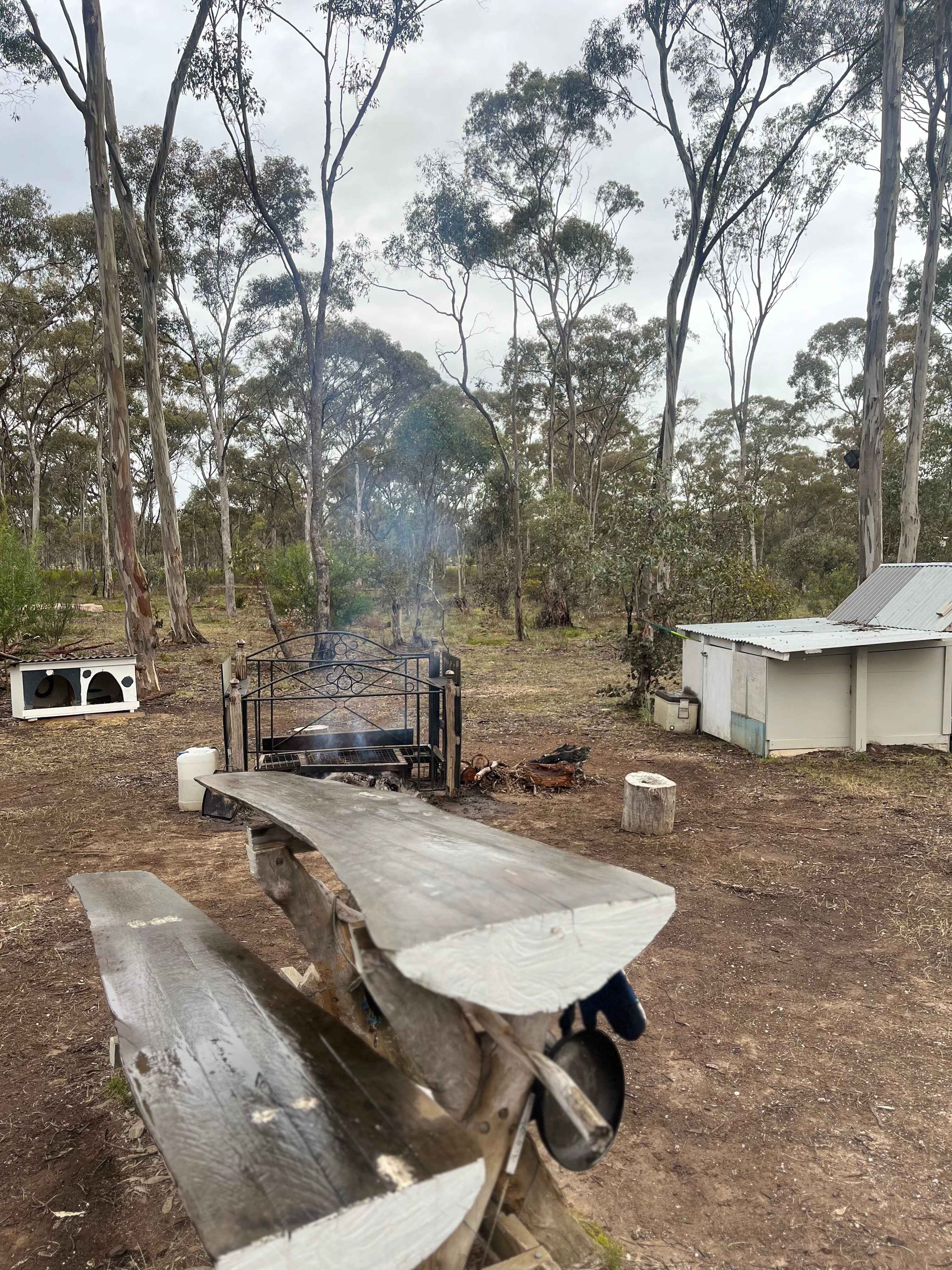 Lovely Bush Property