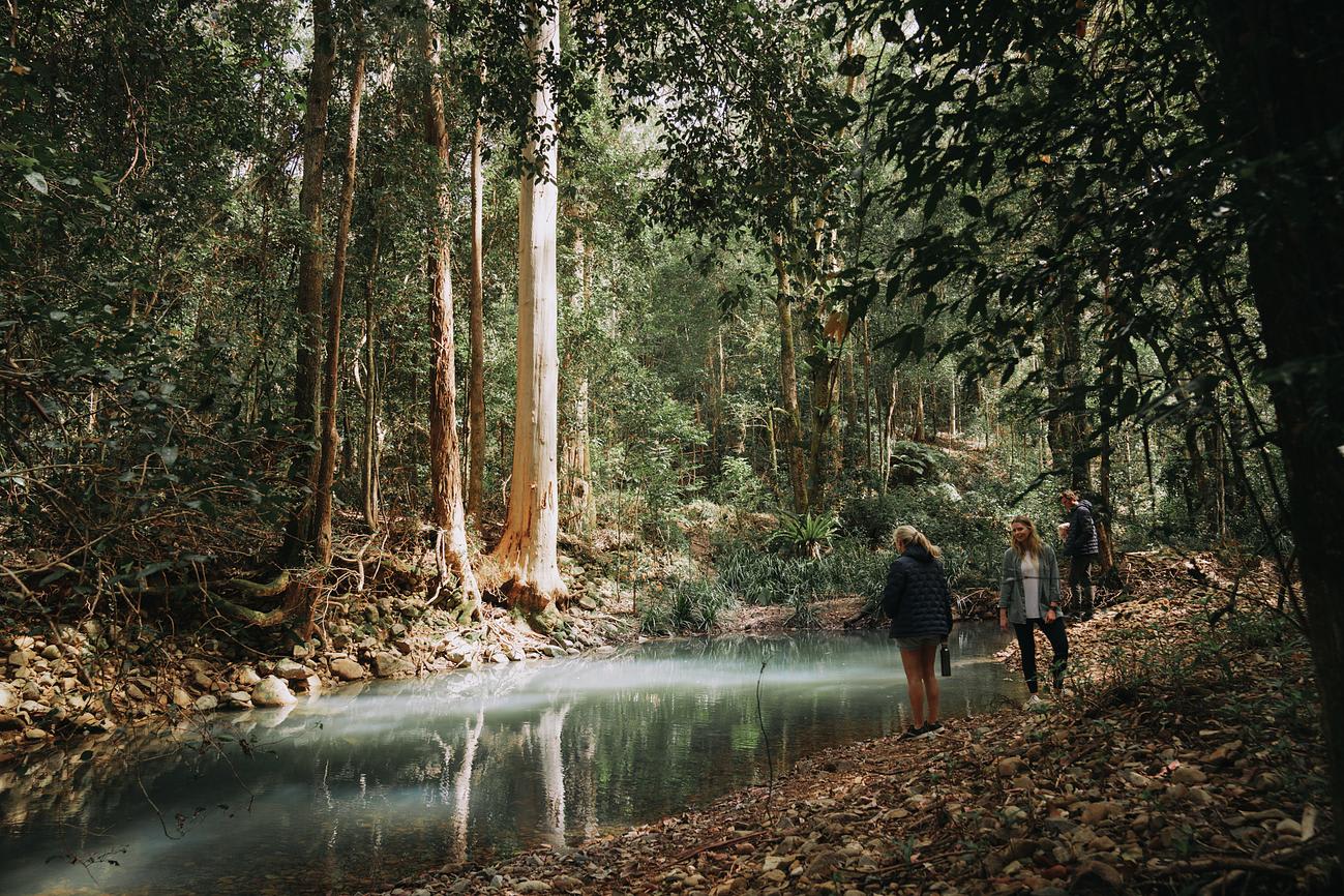 Carawirry Forest Escape