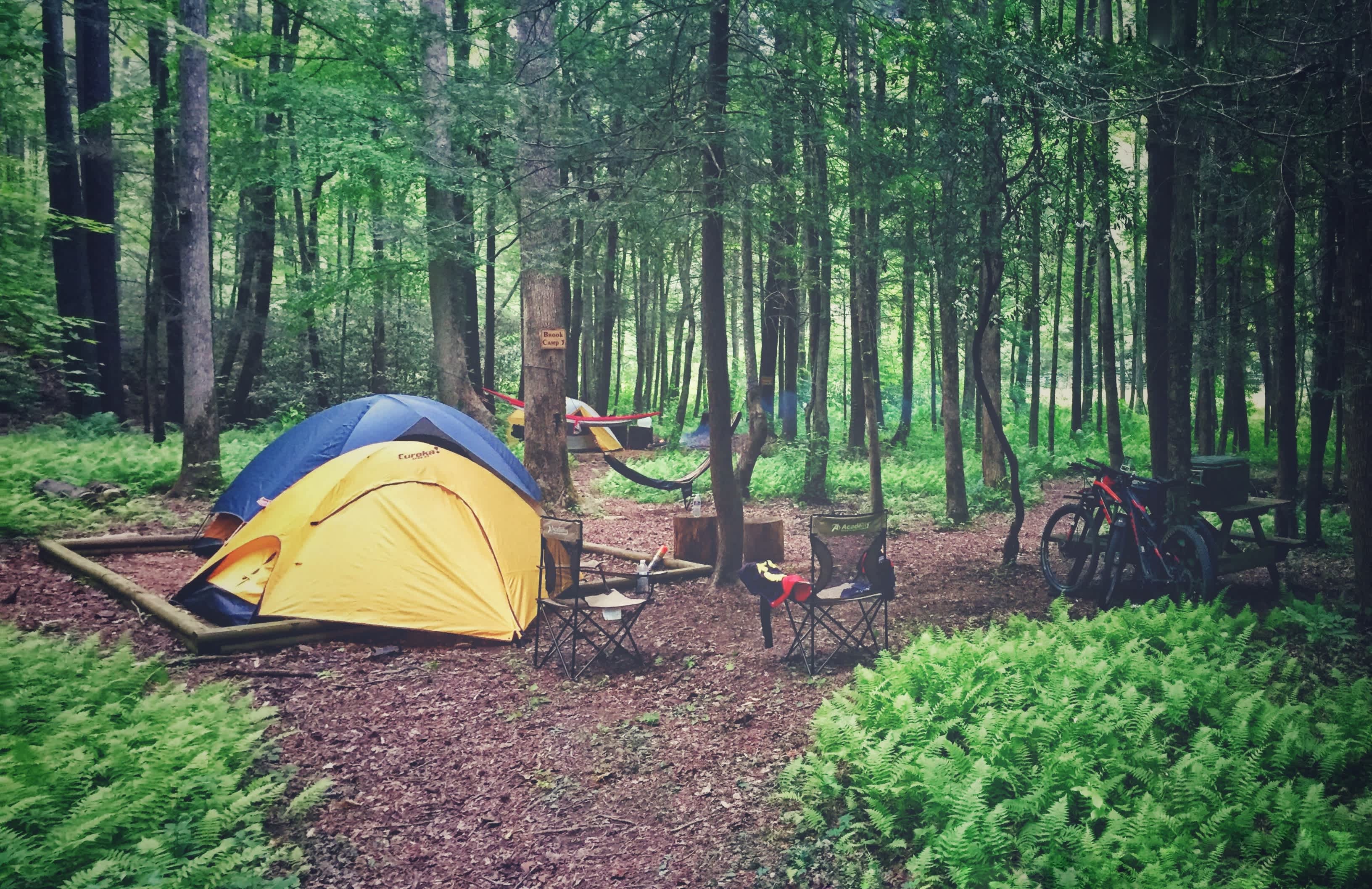 Mulberry Gap - Camping & Van Stays